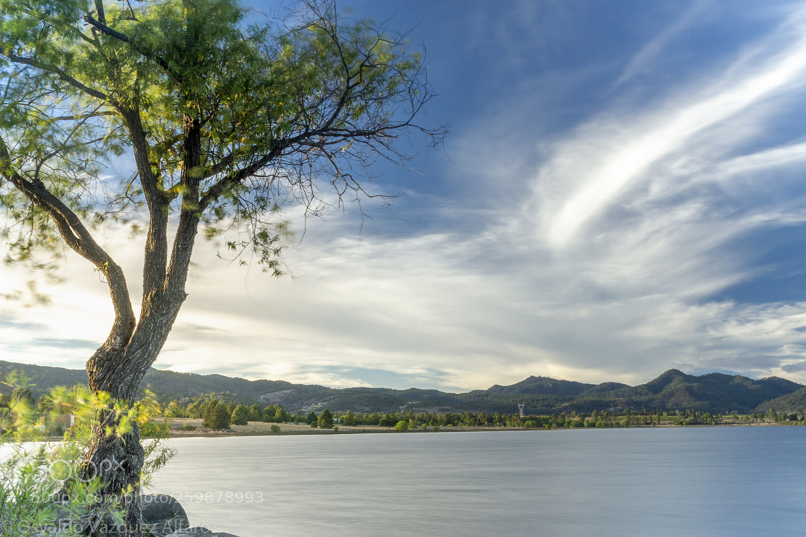 Canon EOS 7D sample photo. Presa del nogal photography