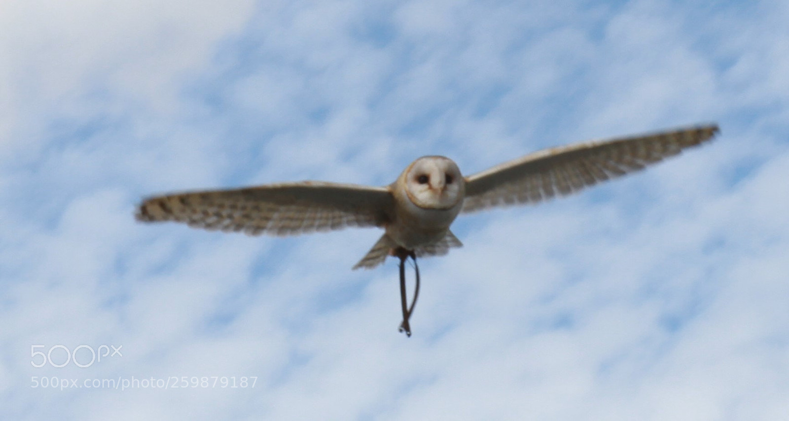 Canon EOS 7D sample photo. Img photography