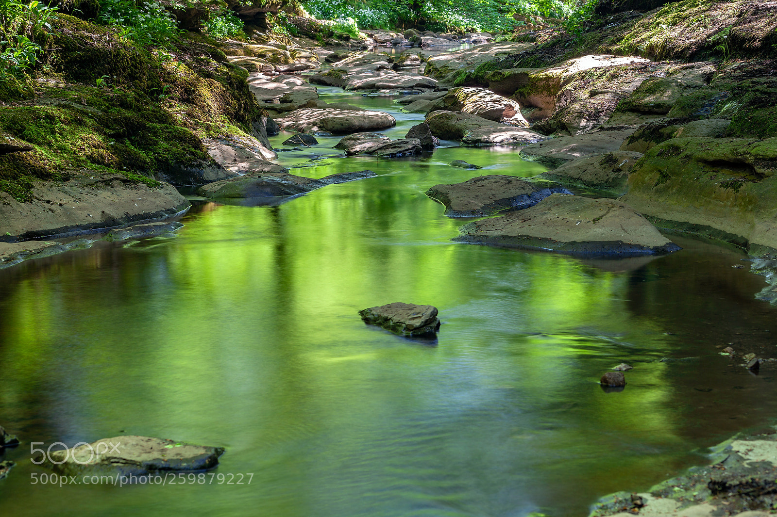 Canon EOS 5D Mark II sample photo. Gorge of gorgeous green photography