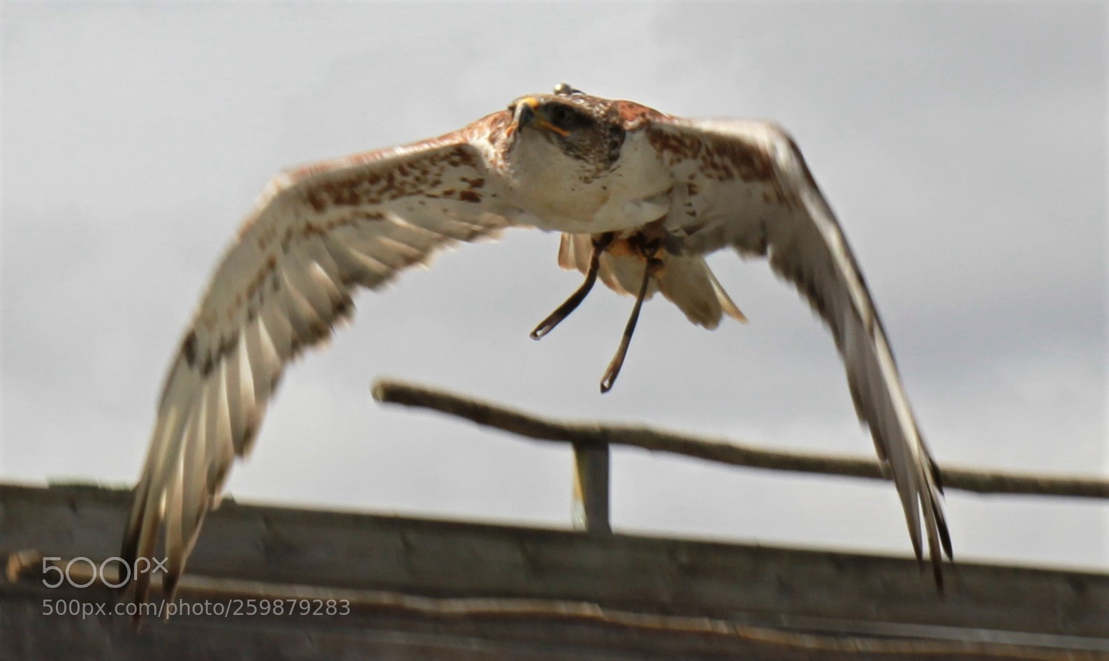 Canon EOS 7D sample photo. Img photography
