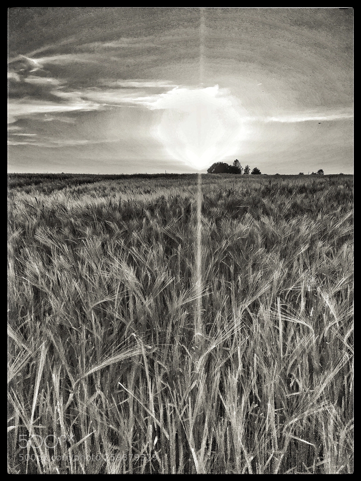 Apple iPhone 6s sample photo. Fire in the sky photography