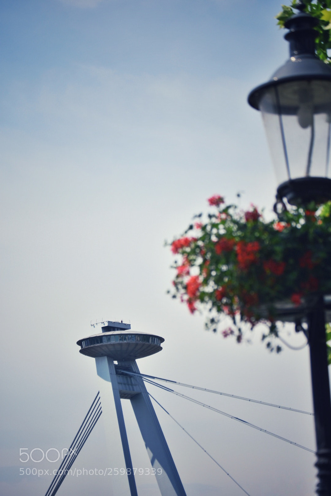 Nikon D3400 sample photo. "ufo" bridge photography