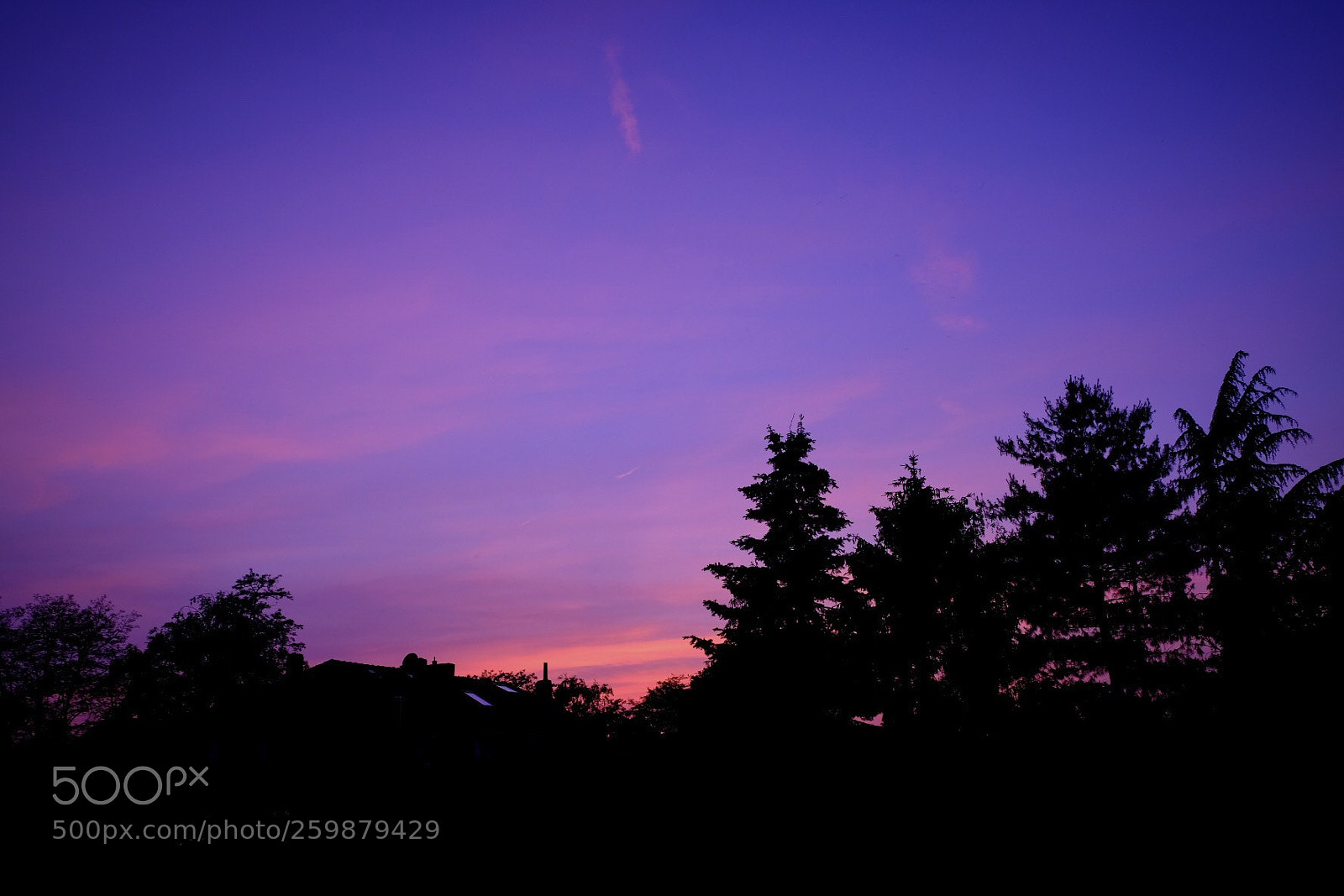 Fujifilm X-T20 sample photo. Untitled photography