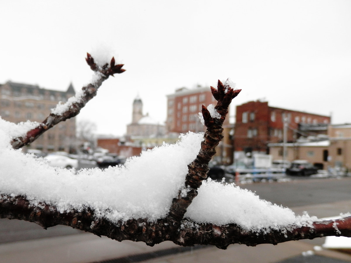 Olympus SZ-12 sample photo. Snow in downtown harrisonburg photography