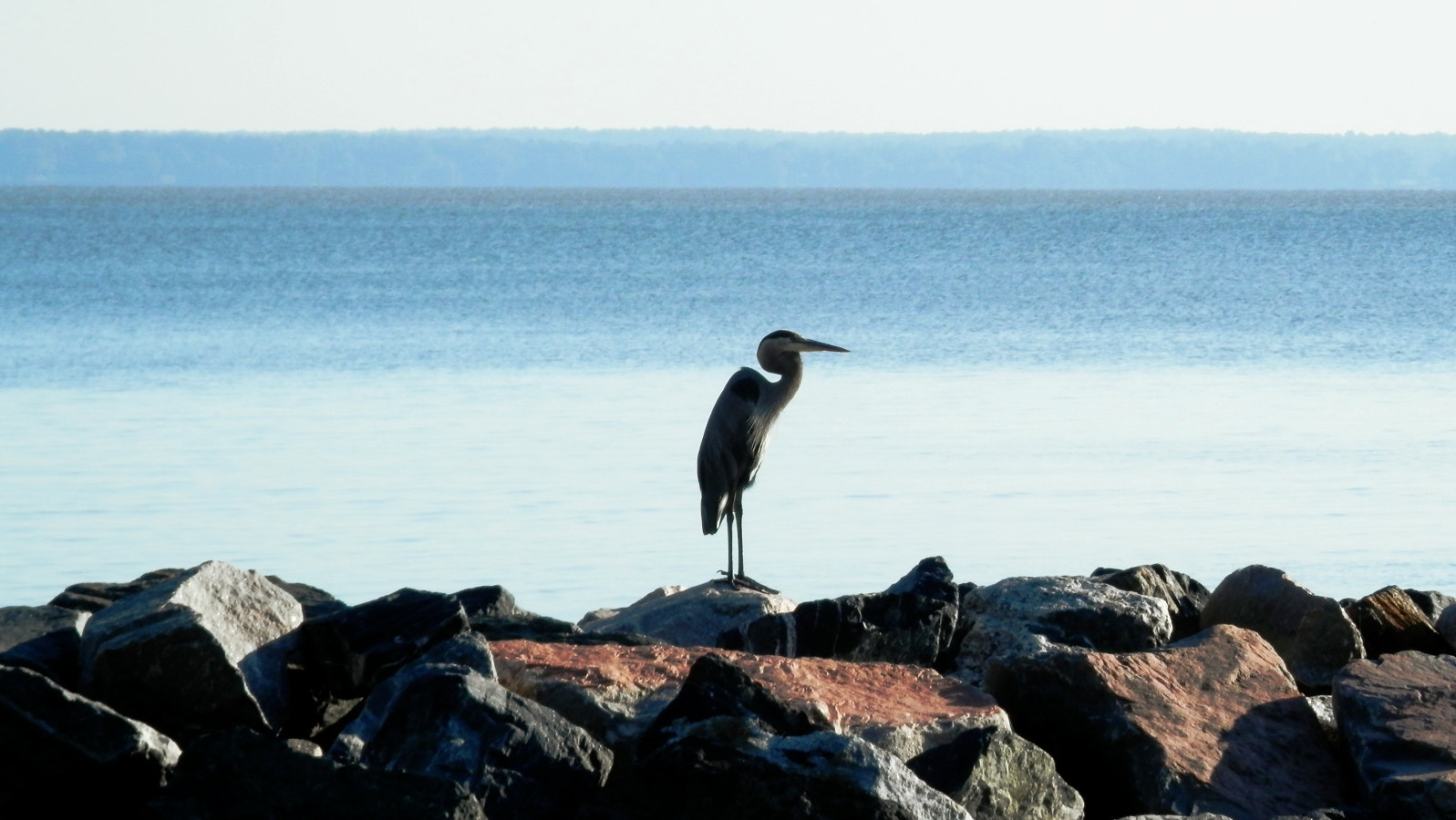 Olympus SZ-12 sample photo. Chippokes plantation state park photography