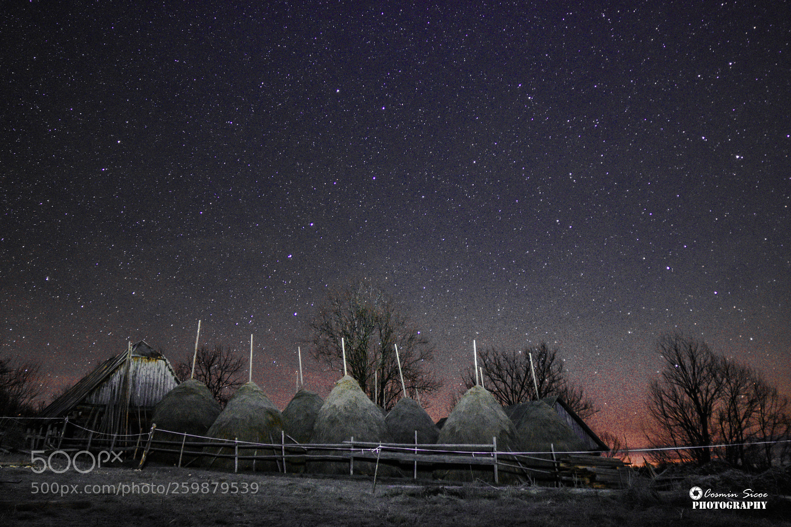 Nikon D5600 sample photo. Night sky over the photography