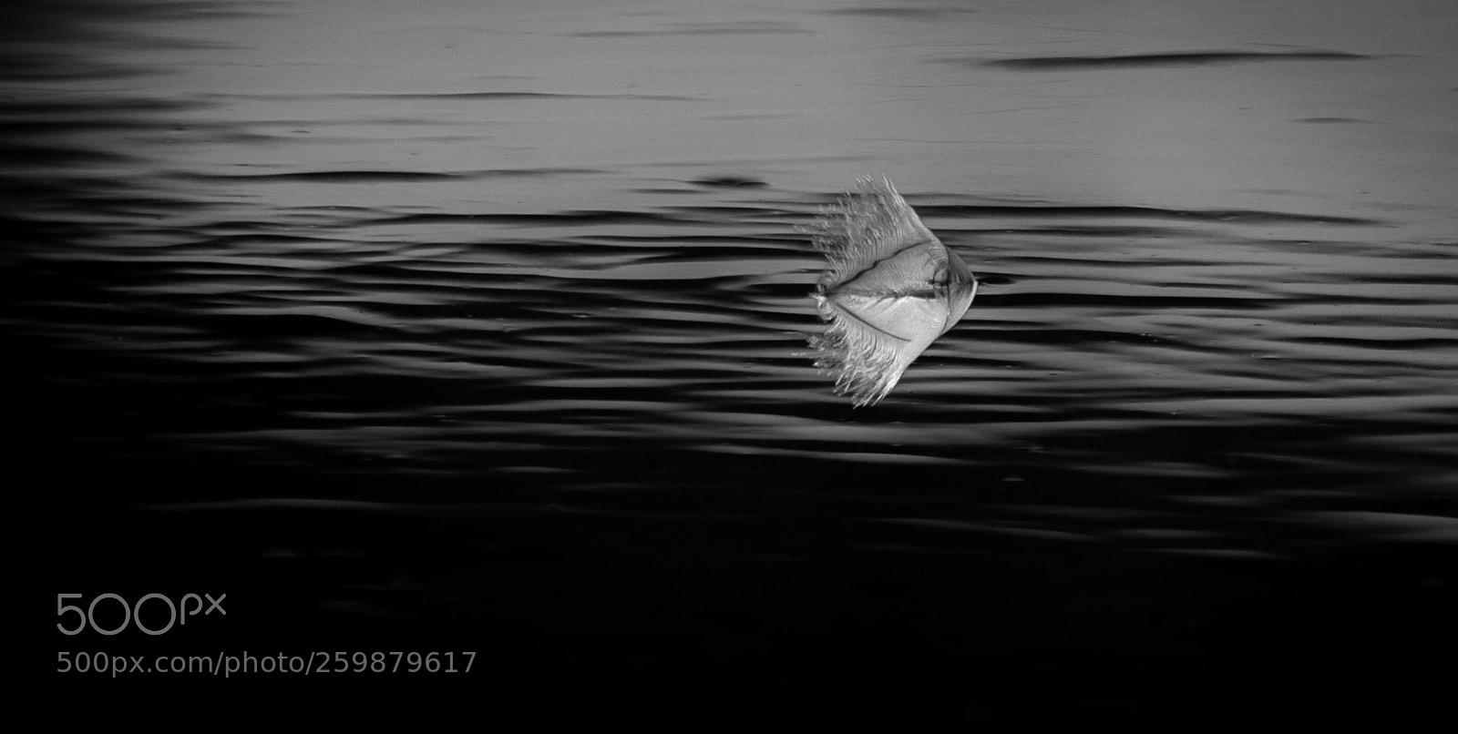 Canon EOS 6D sample photo. The float photography