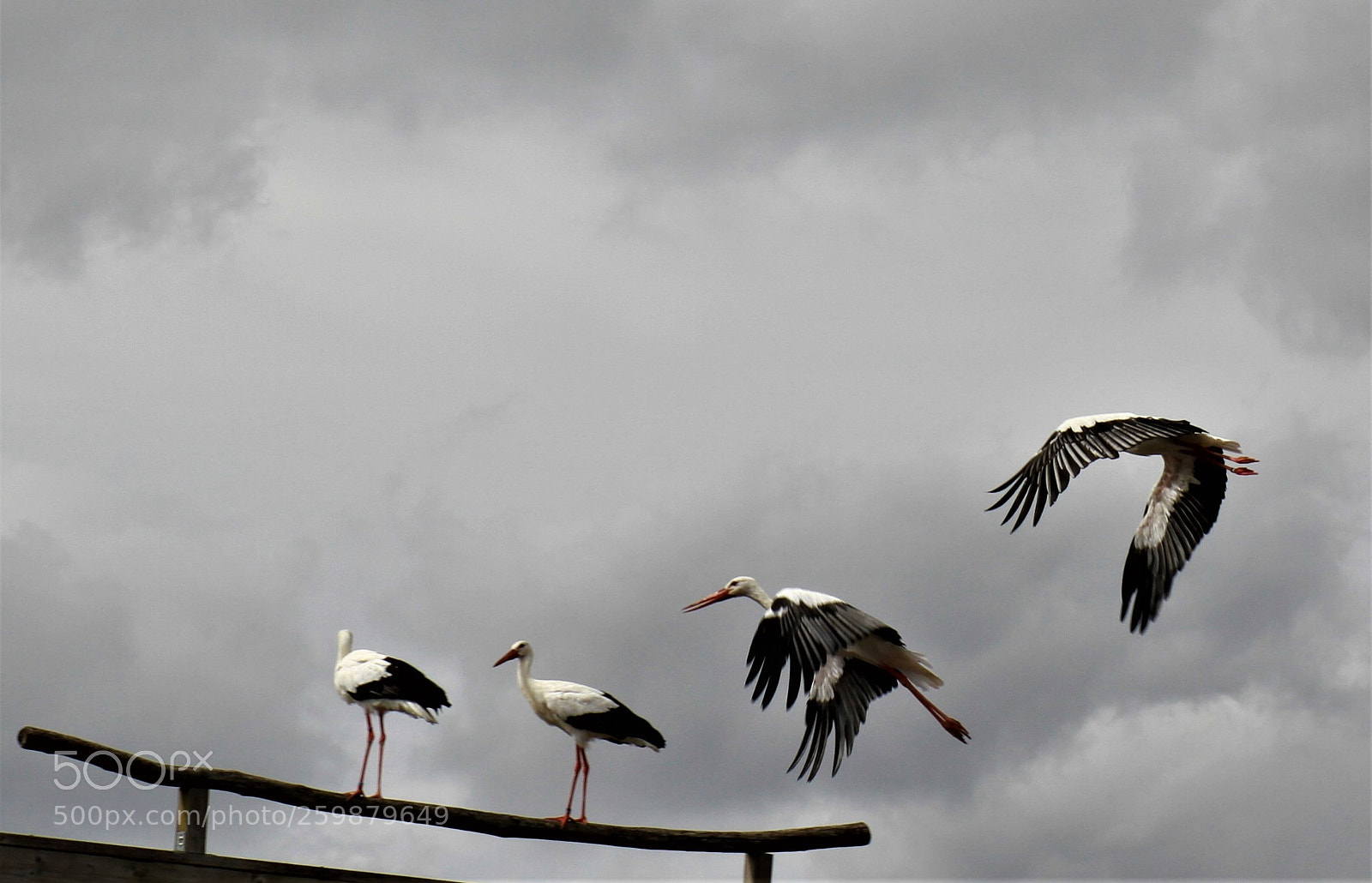 Canon EOS 7D sample photo. Img photography