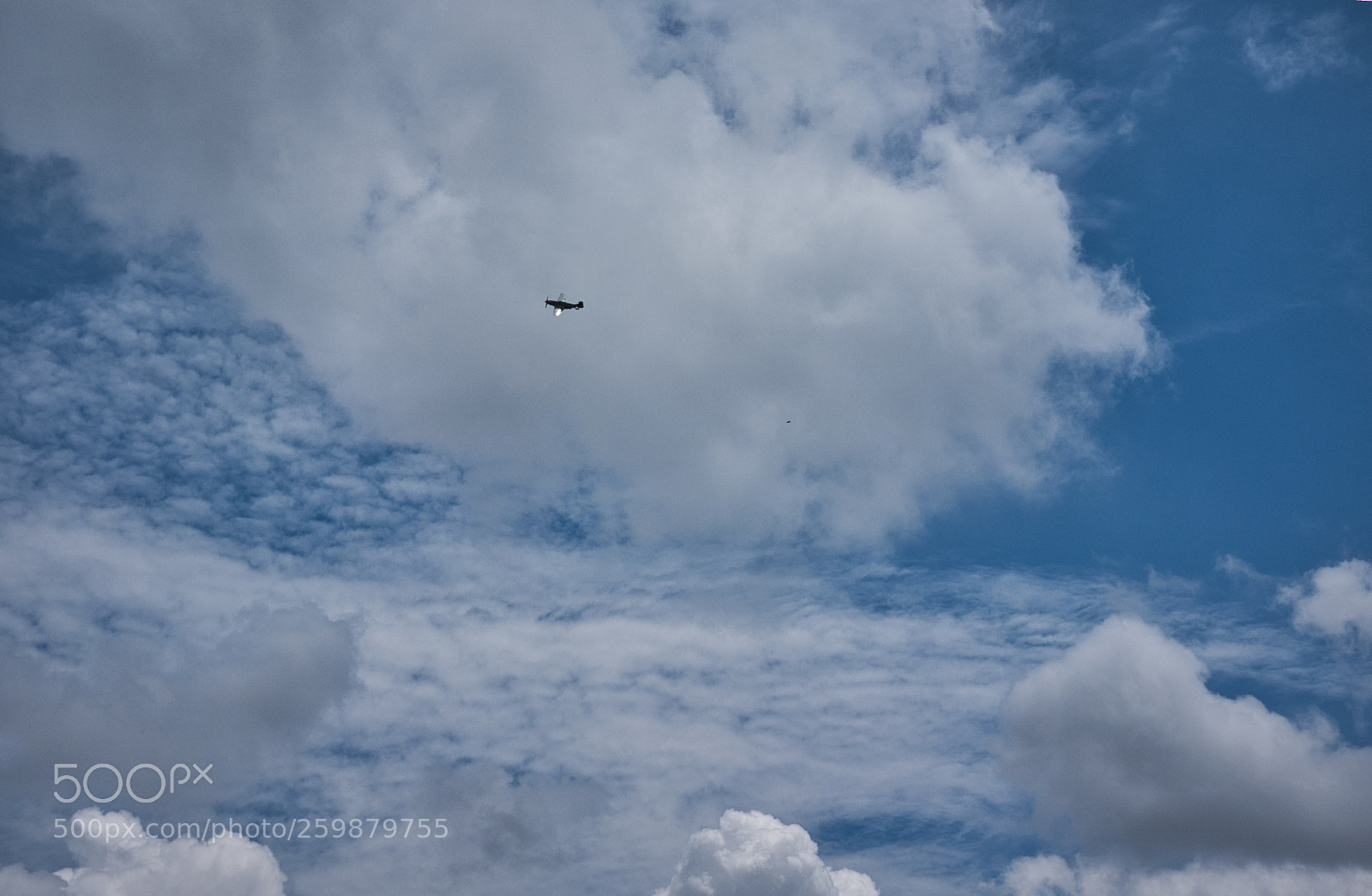 Fujifilm X100F sample photo. P-51 mustang in flight photography