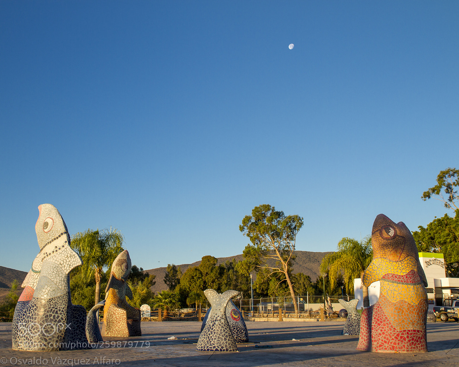 Canon EOS 7D sample photo. Mirando al cielo photography