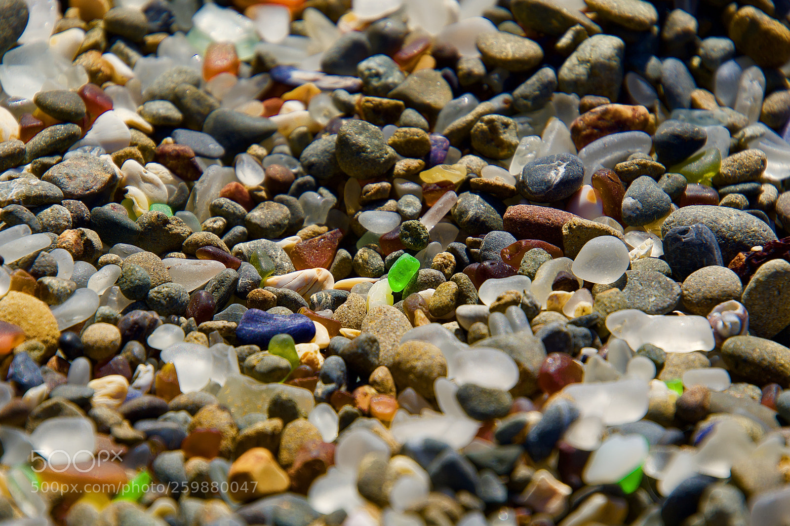 Nikon D7500 sample photo. Sea glass photography