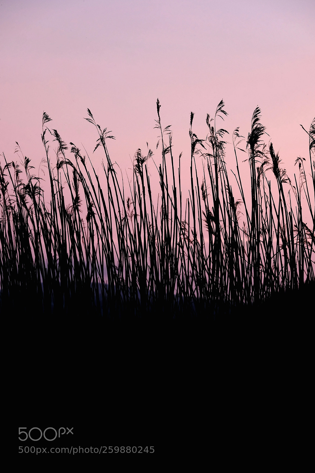 Fujifilm X-T2 sample photo. Sunset photography