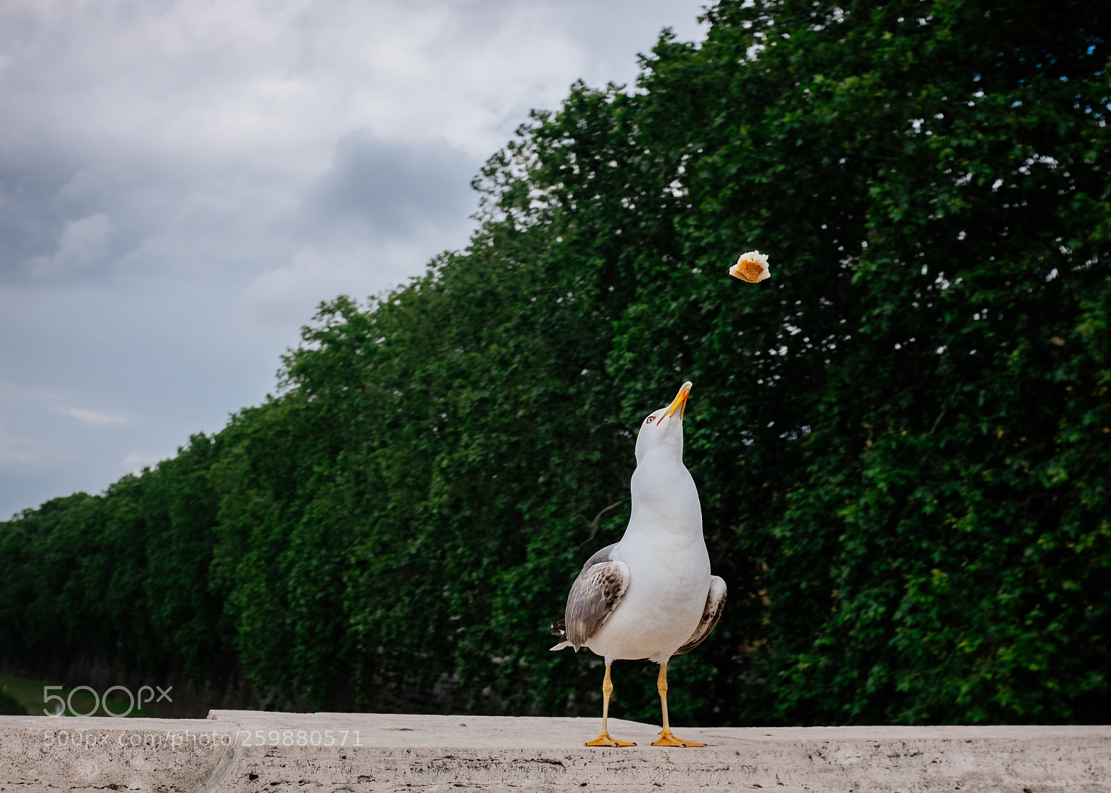 Fujifilm X100S sample photo. Untitled photography