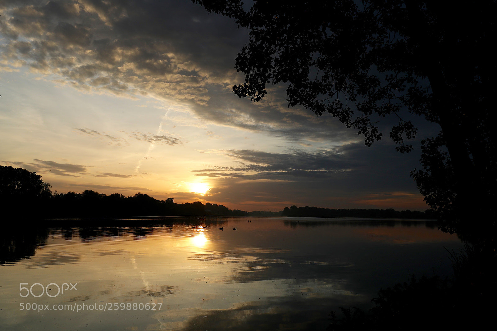 Canon EOS-1D X Mark II sample photo. Sunrise 2 photography