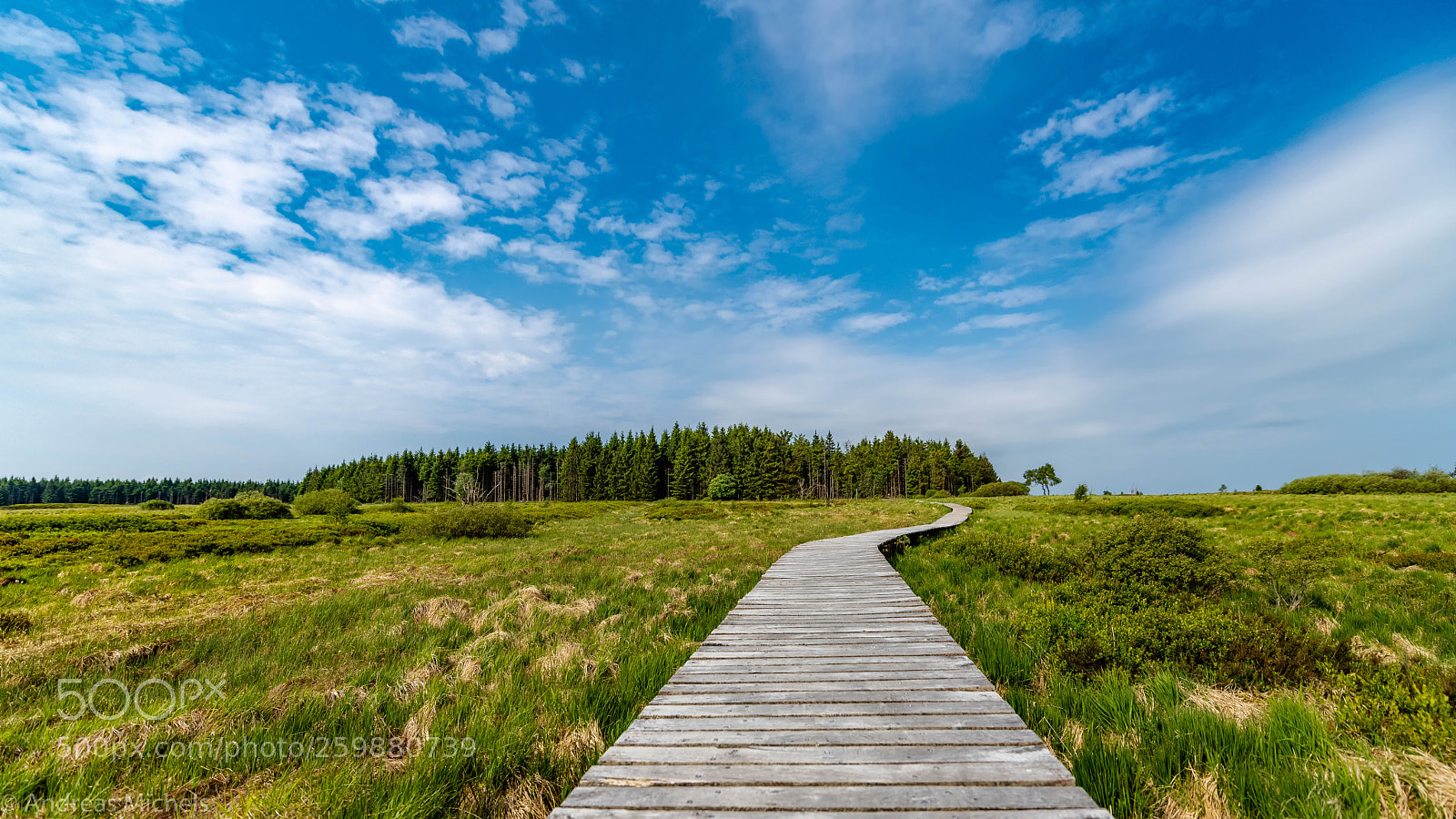 Nikon D850 sample photo. Hohes venn. photography