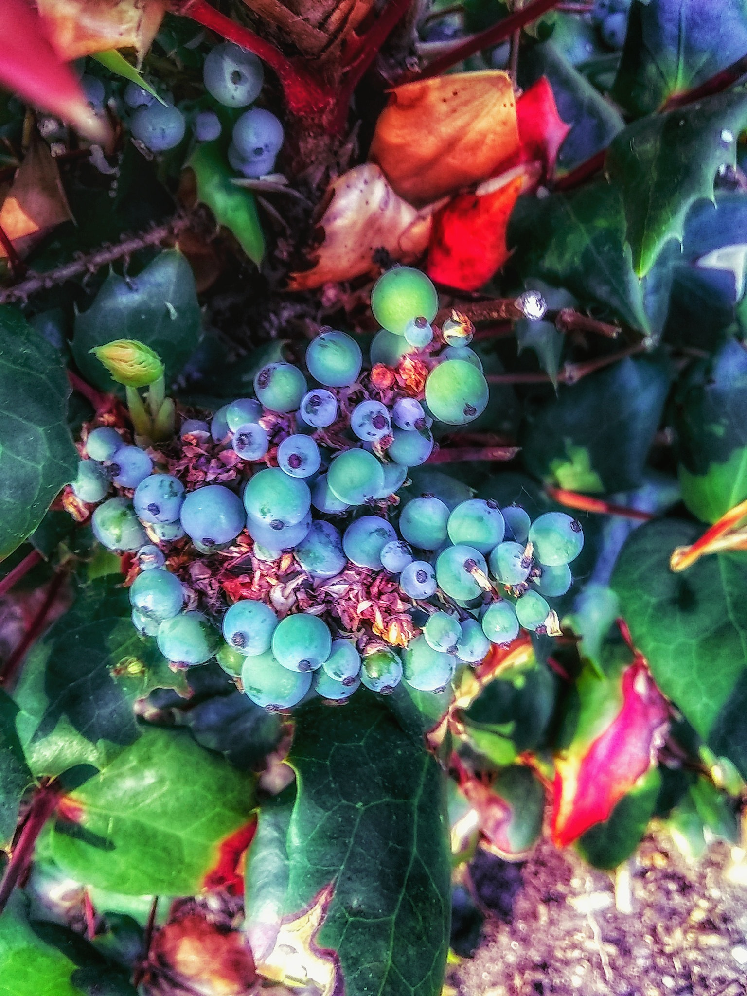 Motorola Moto E4 sample photo