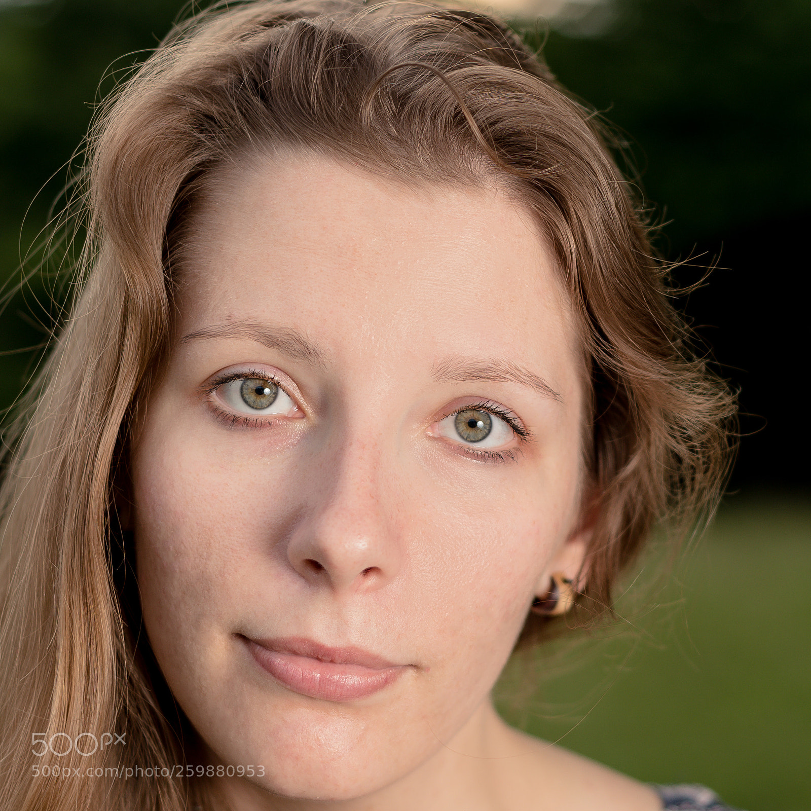 Nikon D750 sample photo. Closup photography