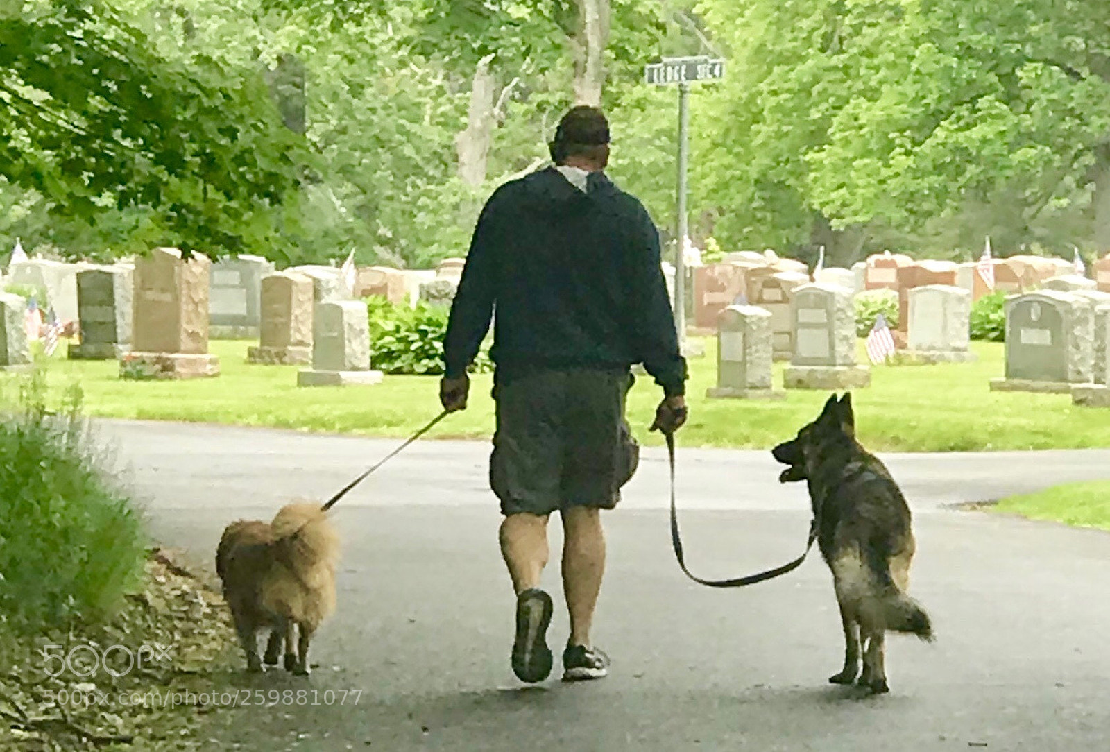 Apple iPhone 7 Plus sample photo. Man's best friend photography