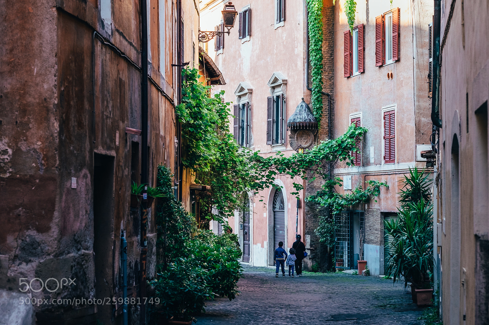 Fujifilm X-T1 sample photo. A vine-draped street in photography