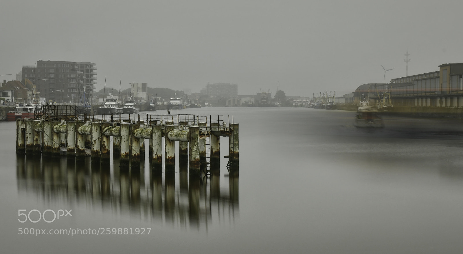Nikon D500 sample photo. Ostend harbour photography