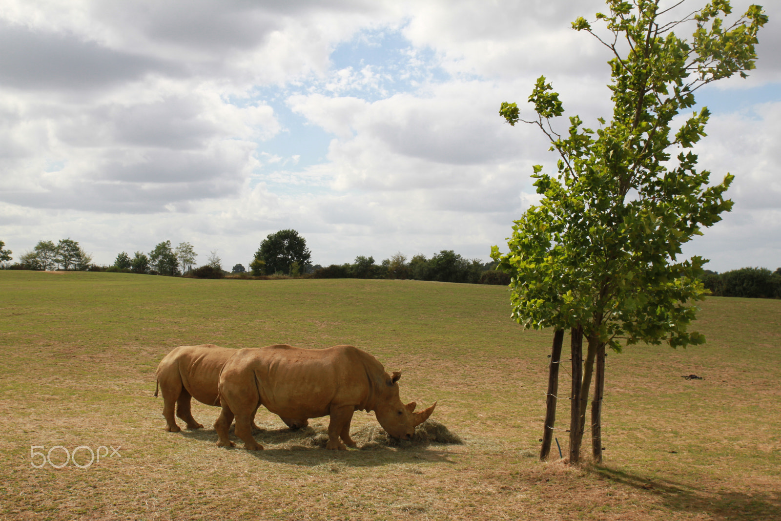 Canon EOS 7D sample photo. Img photography