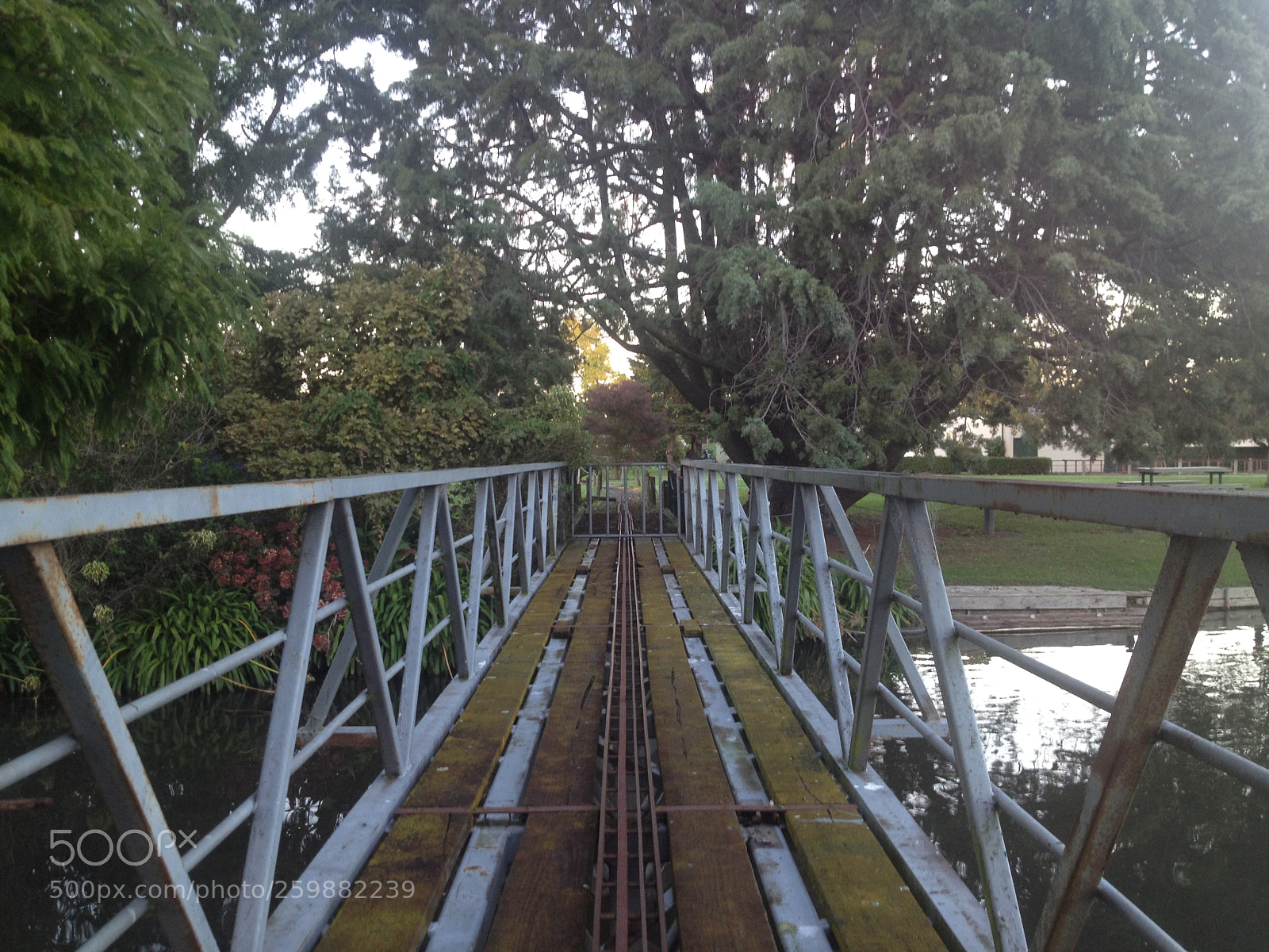 Apple iPhone 4S sample photo. All aboard photography
