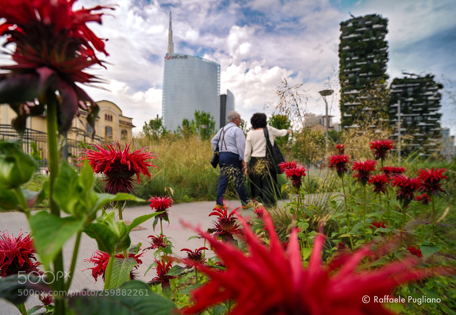 Nikon D3 sample photo. Unicredit red photography