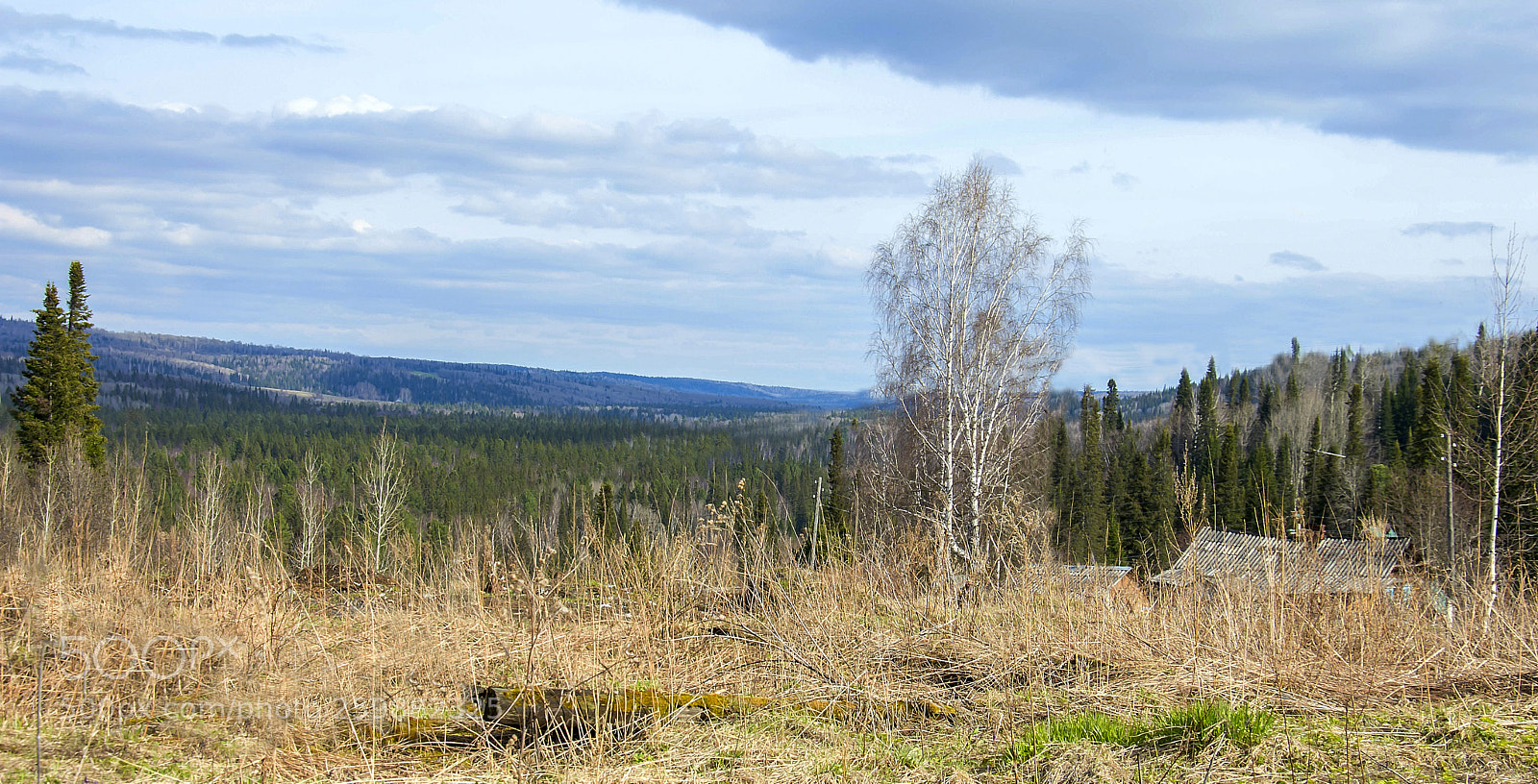 Nikon D3200 sample photo. Сибирский край photography