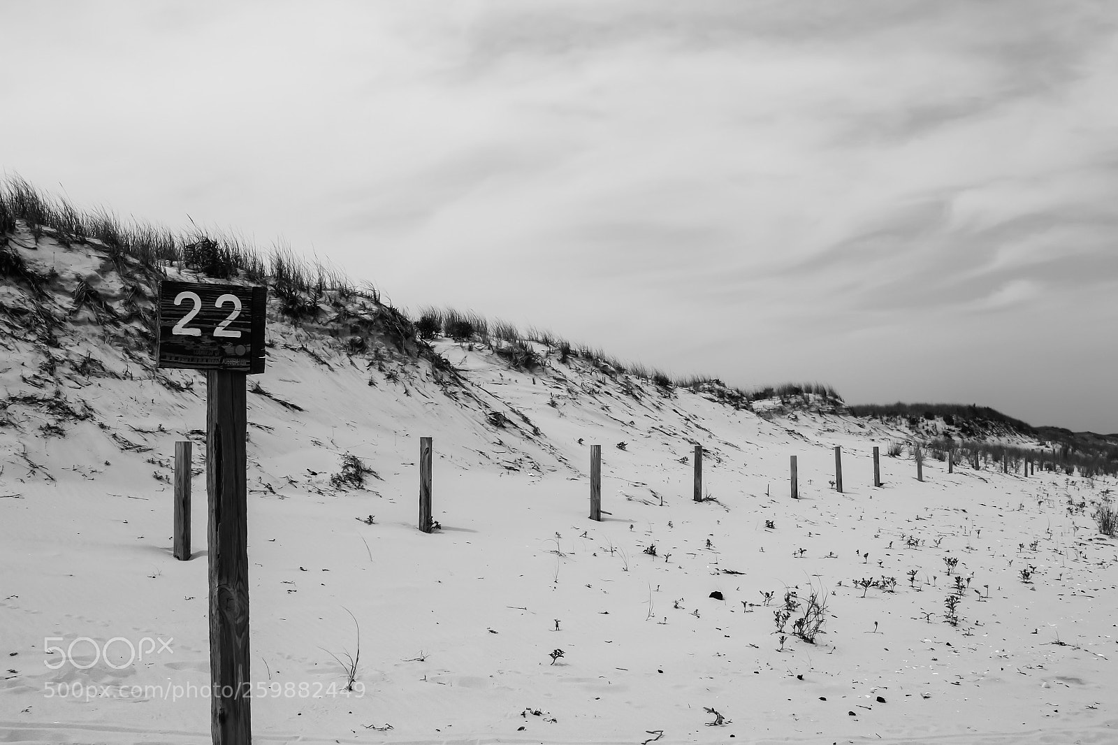 Canon EOS 60D sample photo. Shore photography