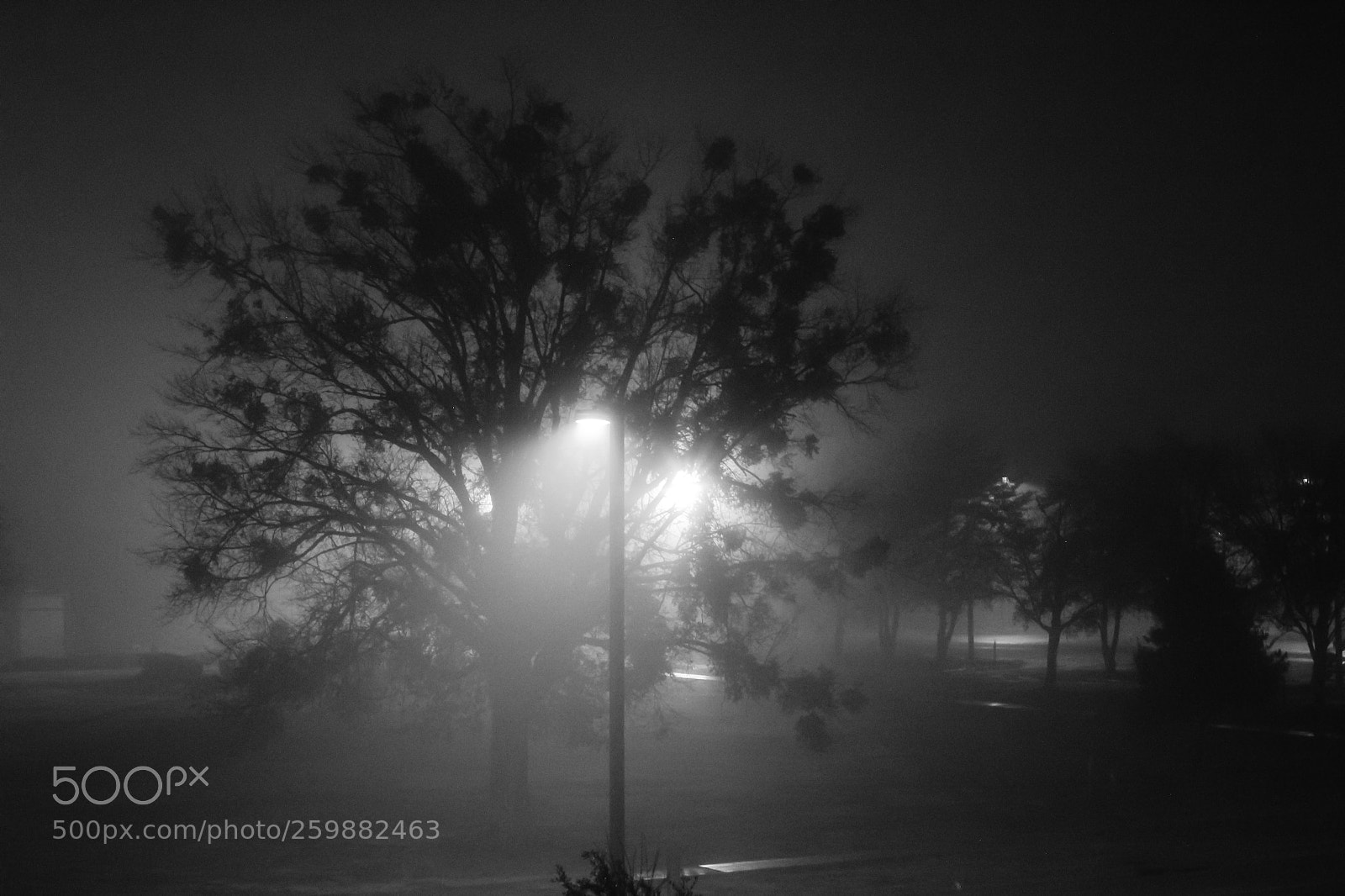 Canon EOS 60D sample photo. Edited photography