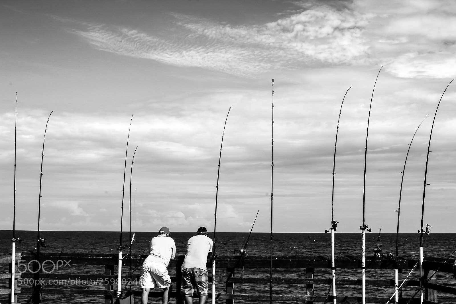 Canon EOS 60D sample photo. Edited photography