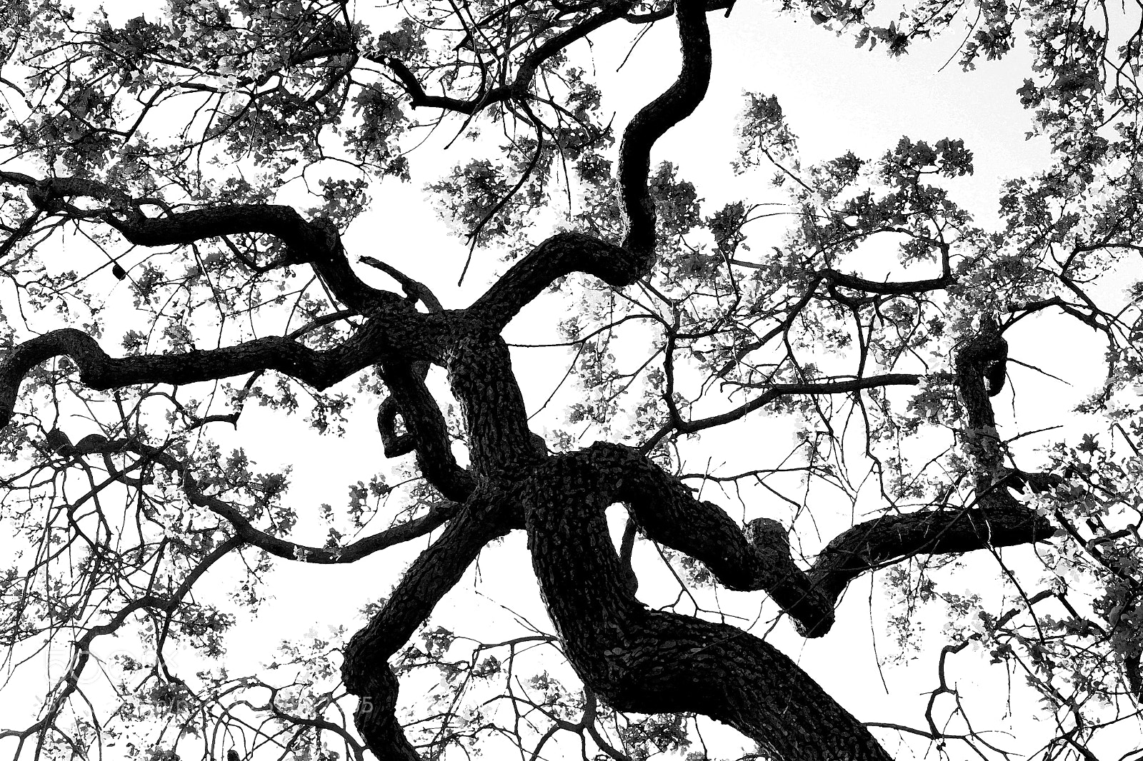 Canon EOS 60D sample photo. Edited photography
