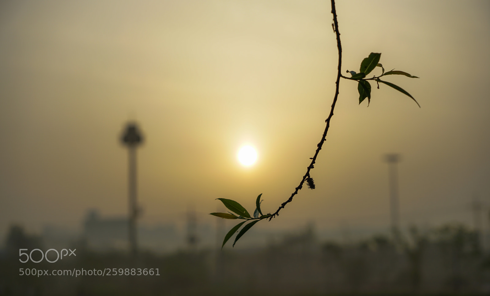 Sony a7 II sample photo. Dsc photography
