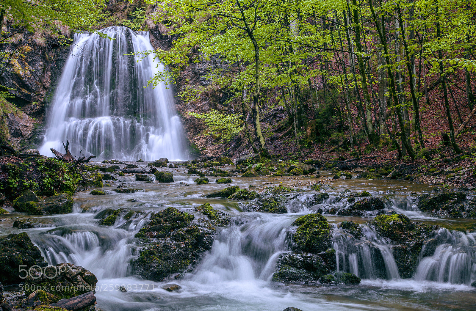 Canon EOS 5D Mark II sample photo. Josefstal photography