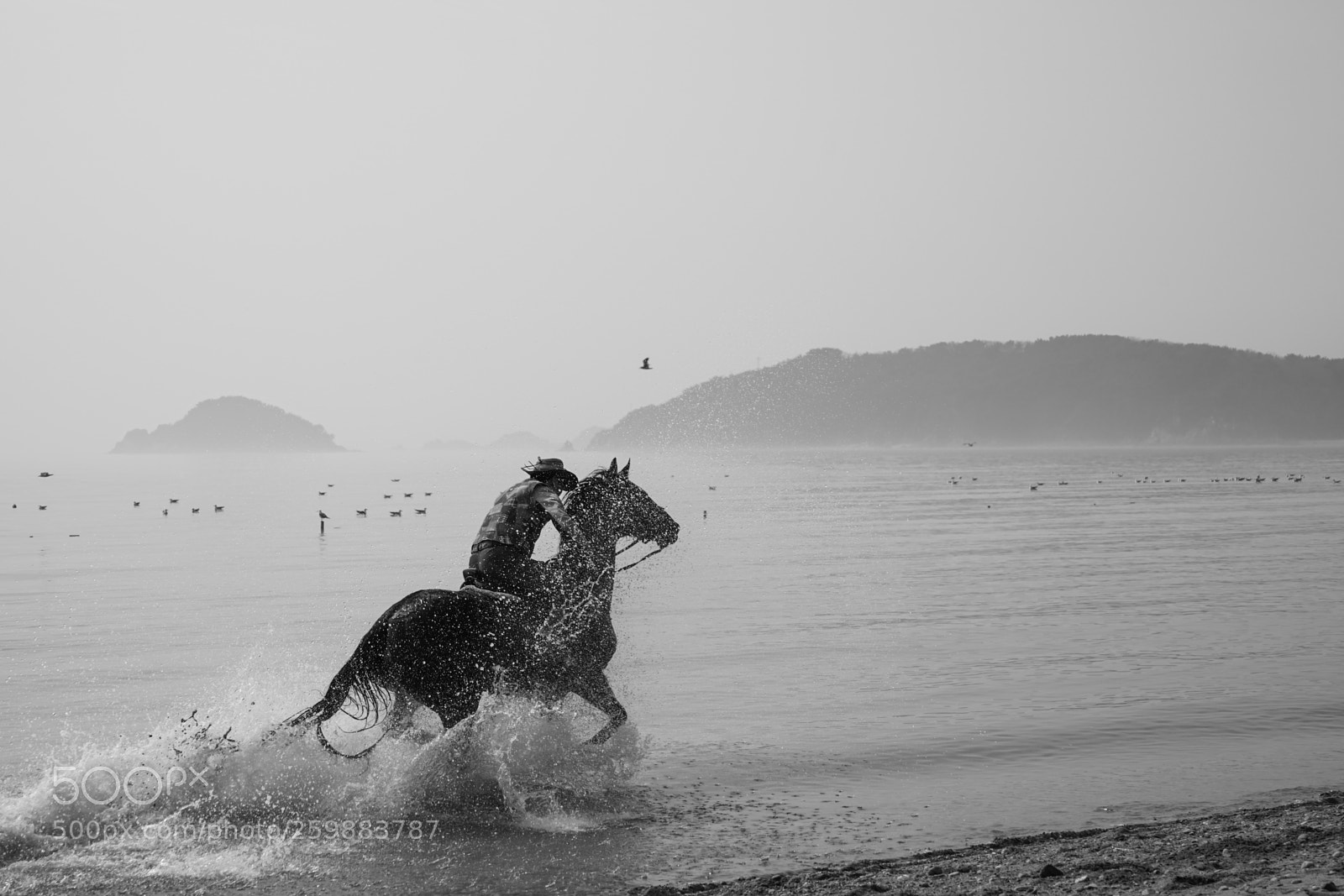 Sony a7 II sample photo. Dsc photography