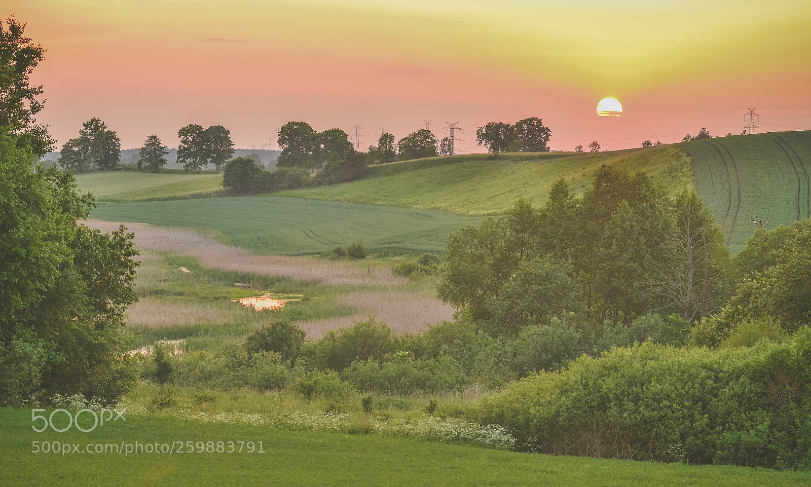 Nikon D7000 sample photo. Sunset in skajboty photography