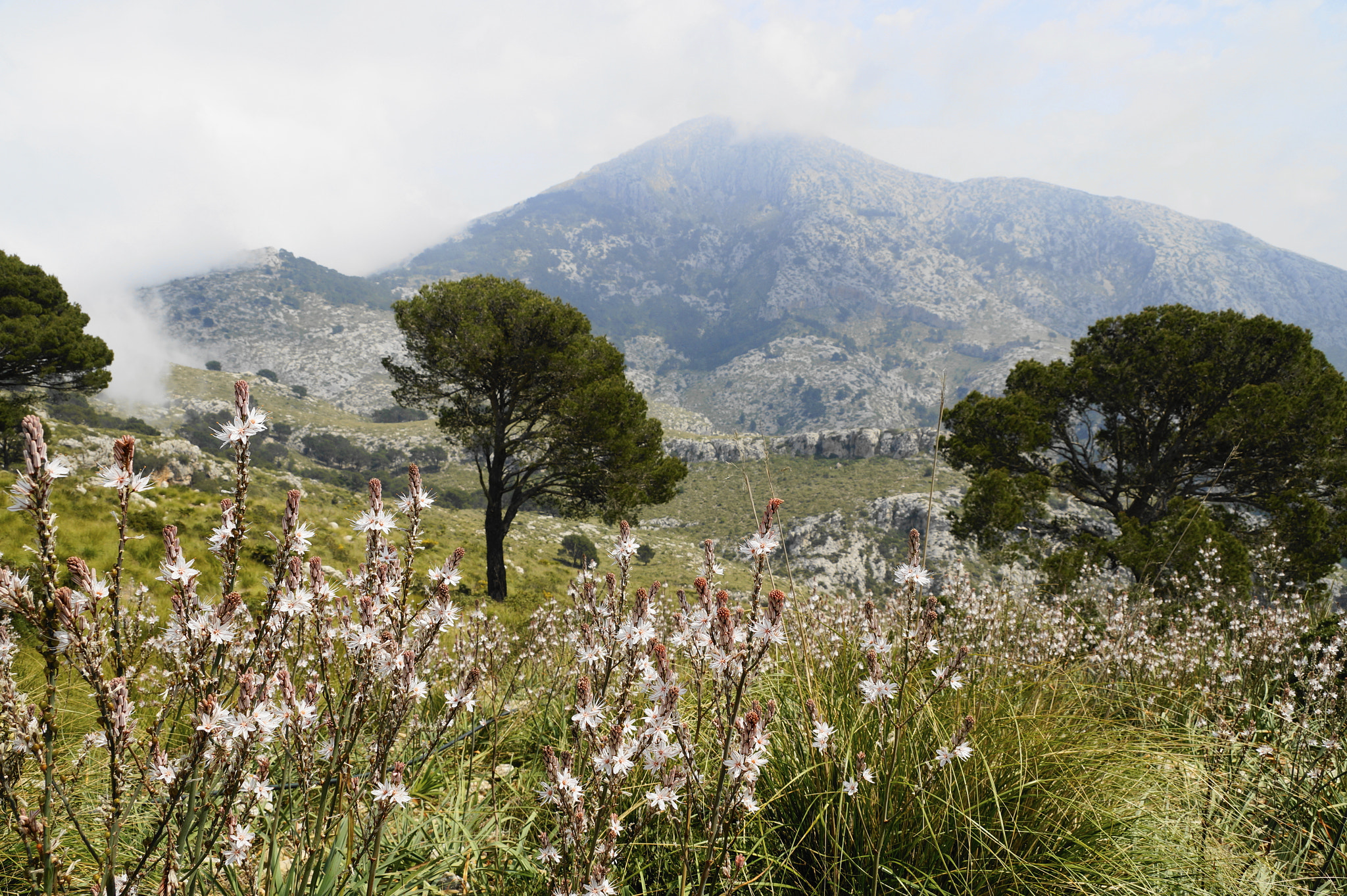 Sony DT 18-135mm F3.5-5.6 SAM sample photo. El galatzo, mallorca photography