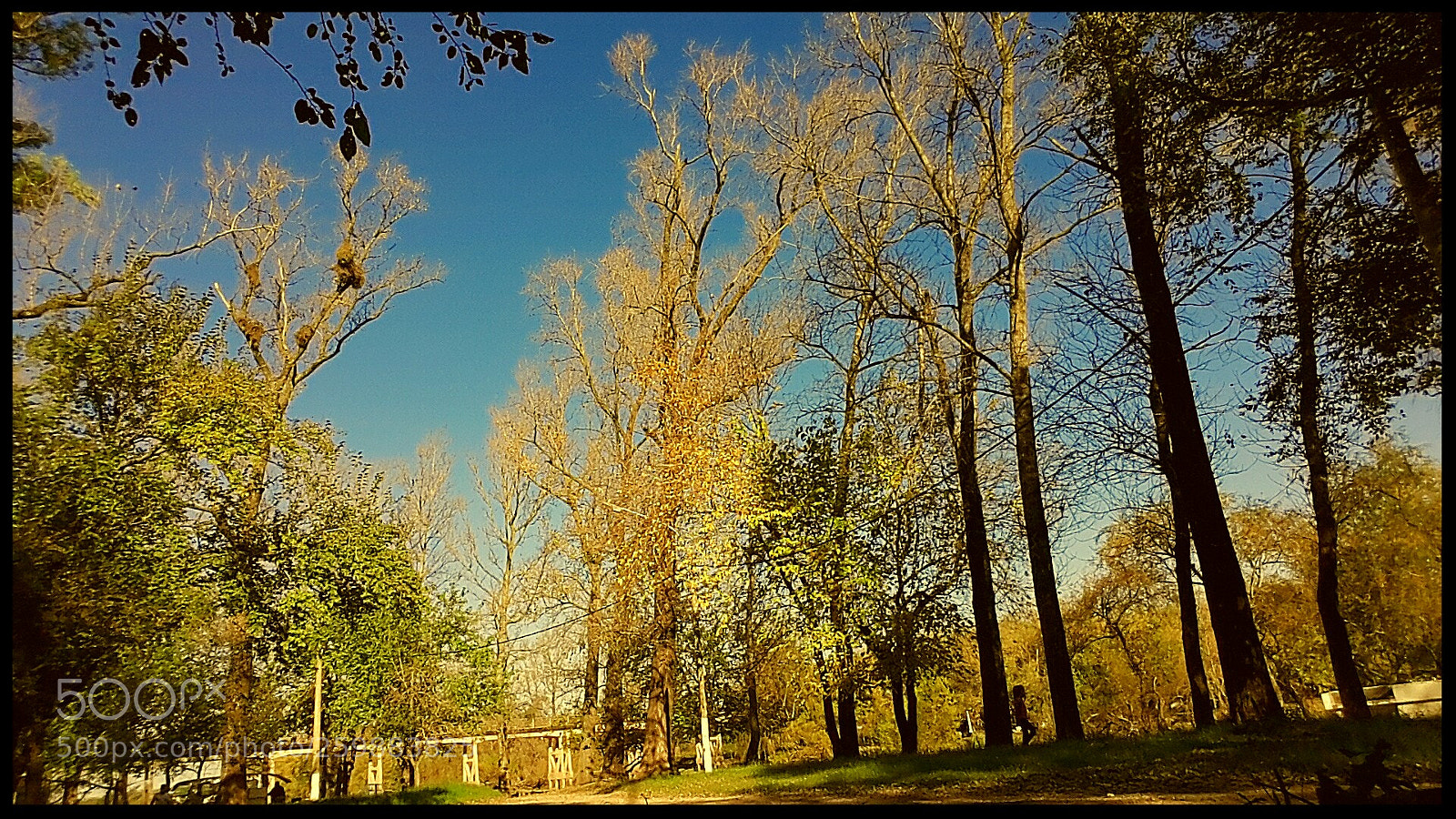 Samsung Galaxy S4 sample photo. Untitled photography