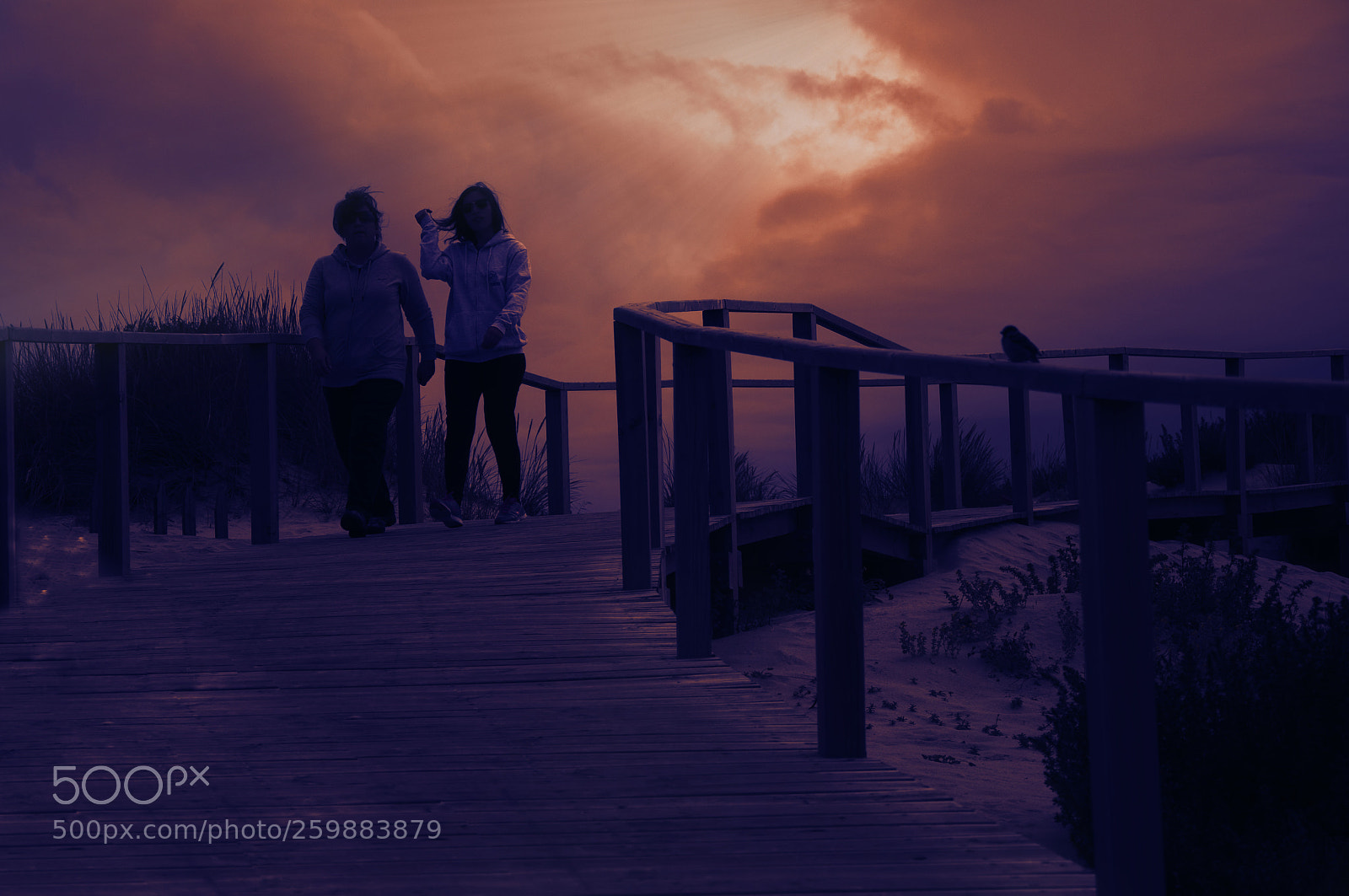 Nikon D90 sample photo. Portugal seashore photography