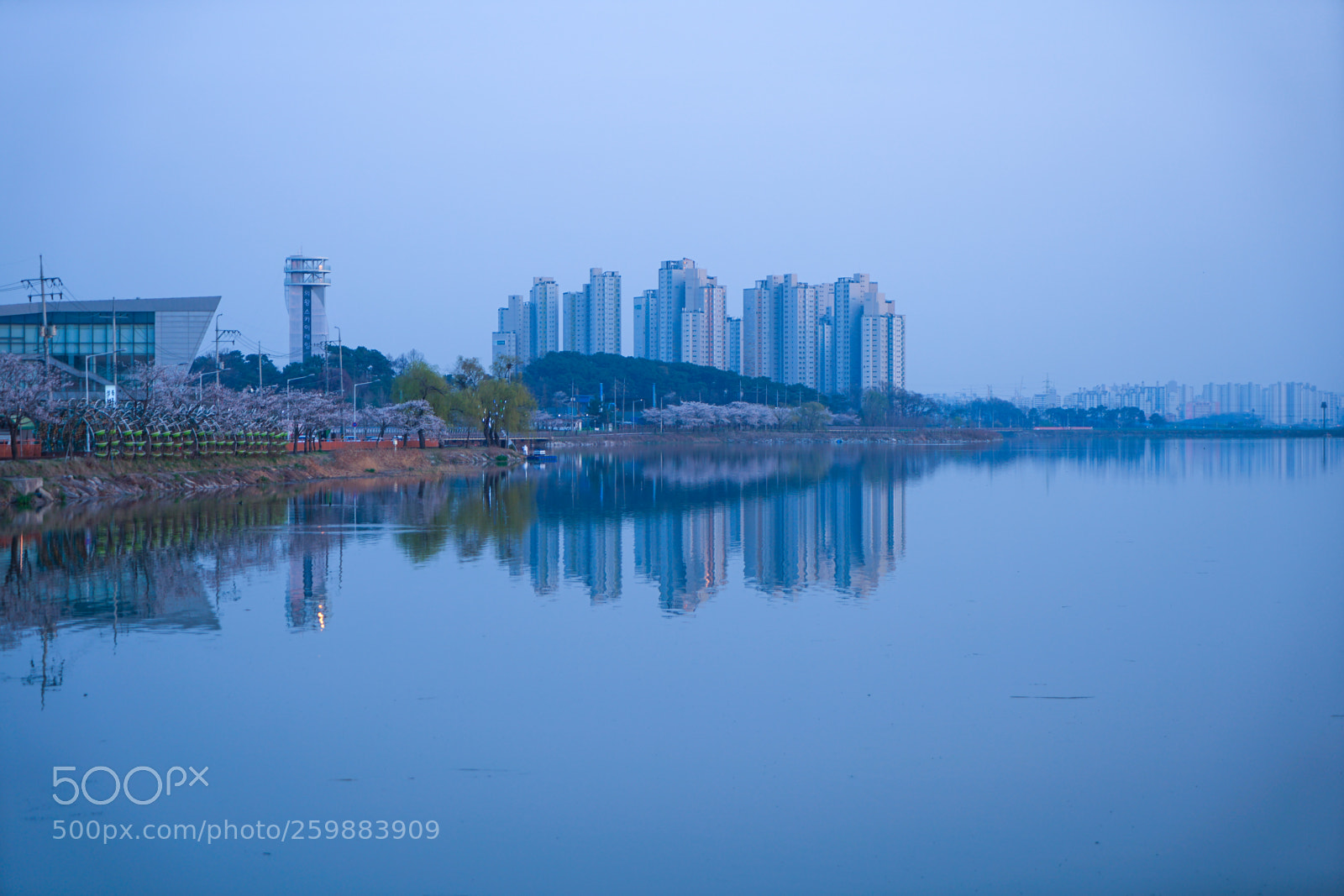 Sony a7 II sample photo. Dsc photography