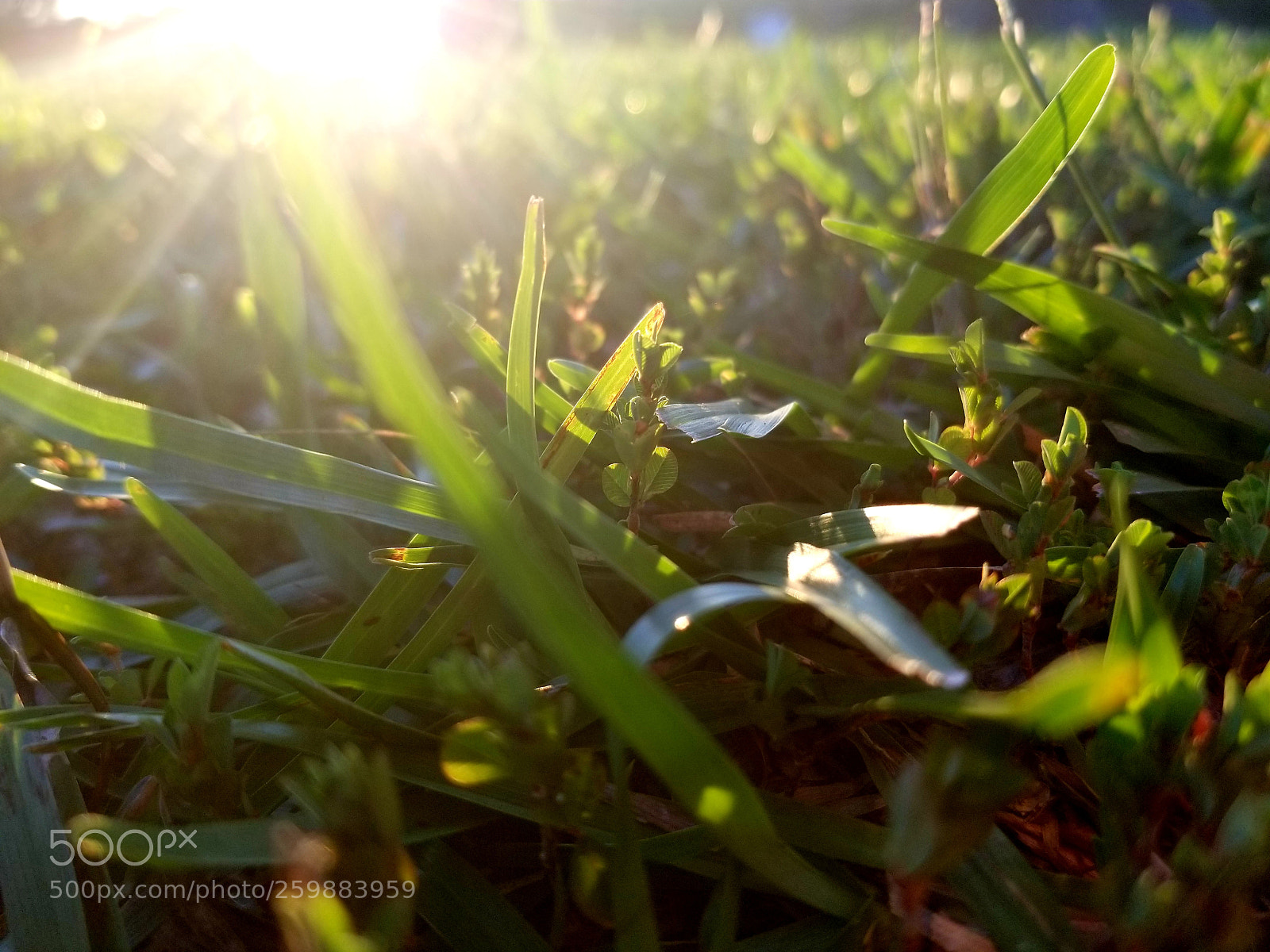 Samsung Galaxy S8 sample photo. Evening glow photography