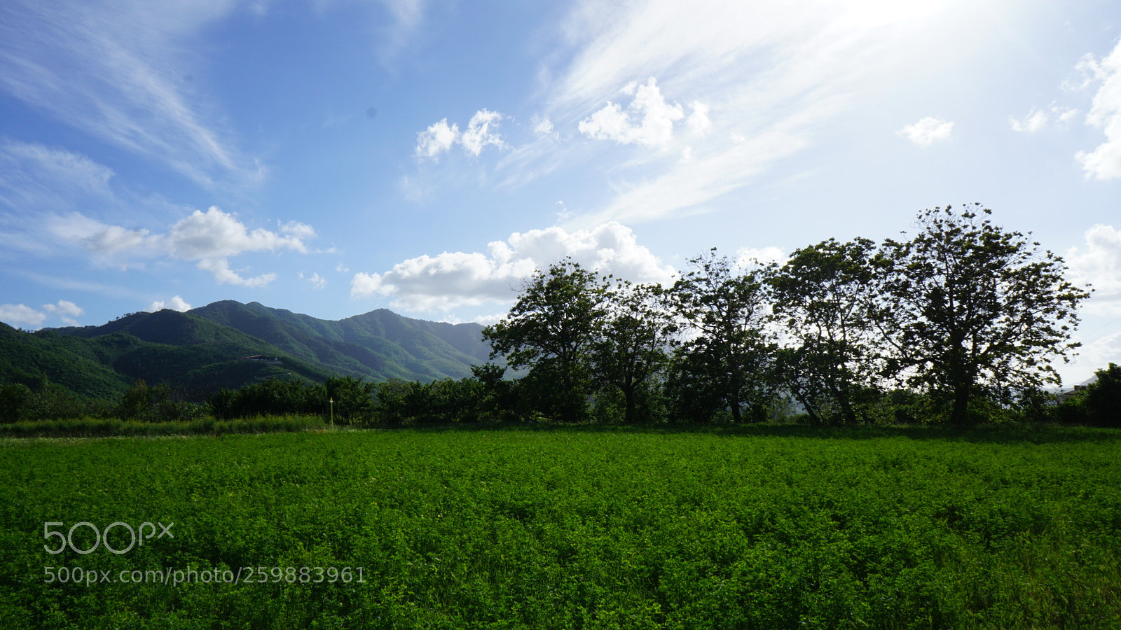 Sony a6000 sample photo. The sun behind the photography