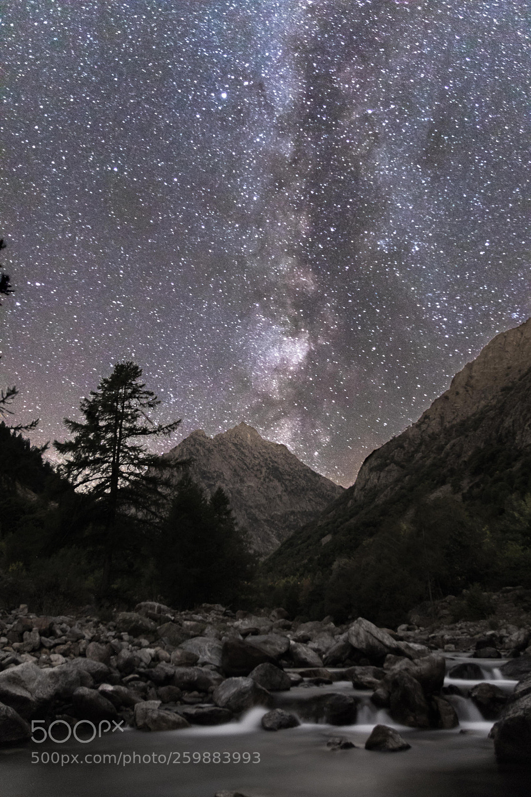 Canon EOS 77D (EOS 9000D / EOS 770D) sample photo. Via lattea.jpg photography