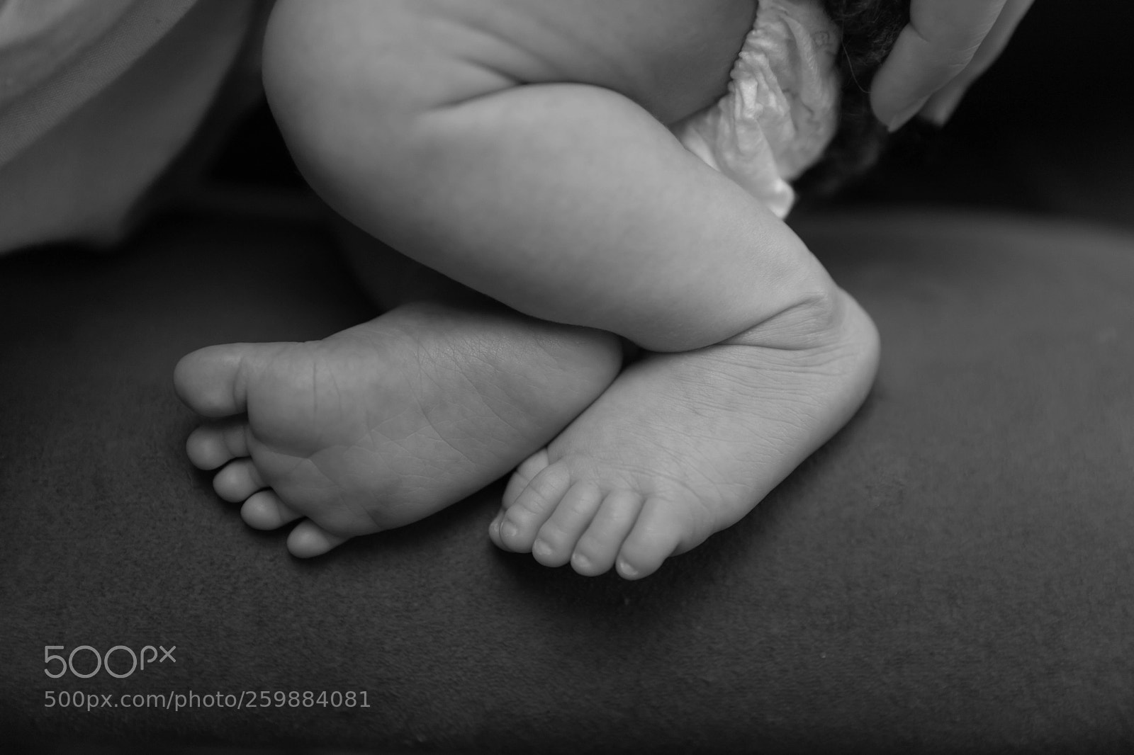 Canon EOS 6D Mark II sample photo. Nom nom nom photography