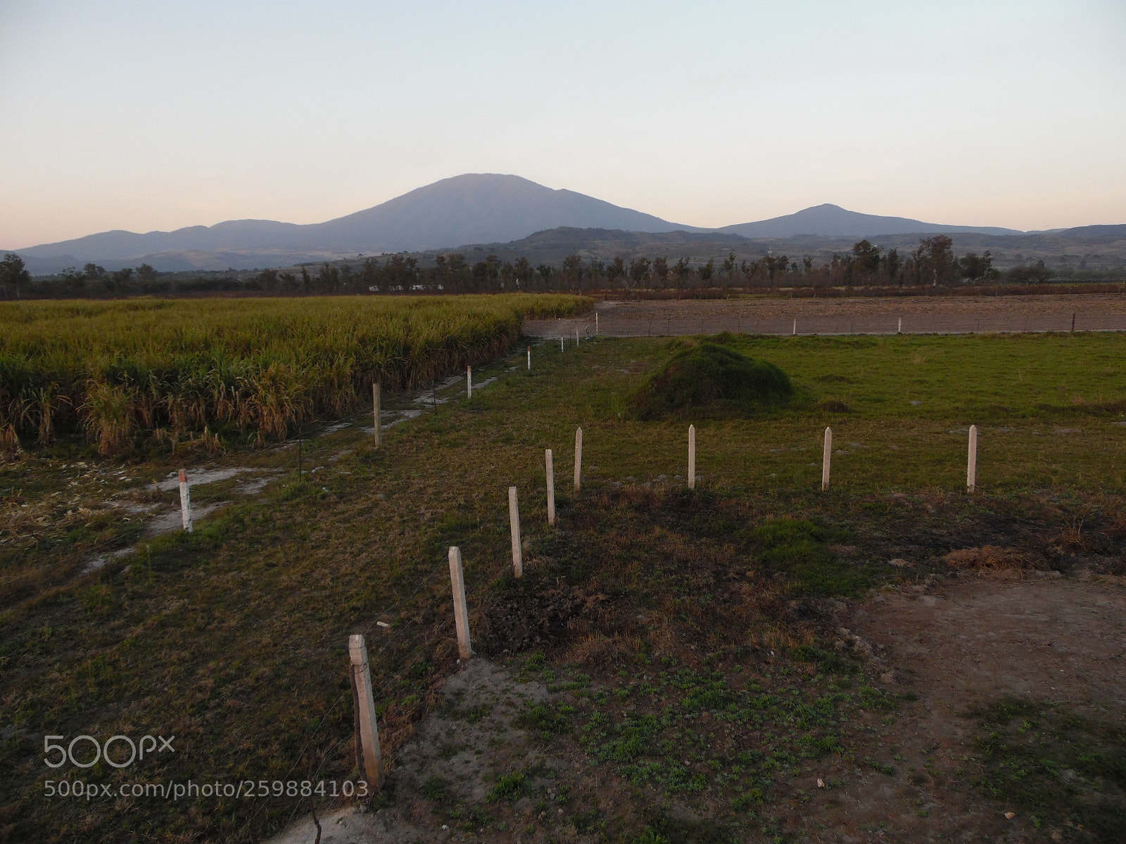 Samsung WB1100F/WB1101F/WB1102F sample photo. "maravilla de la naturaleza" photography