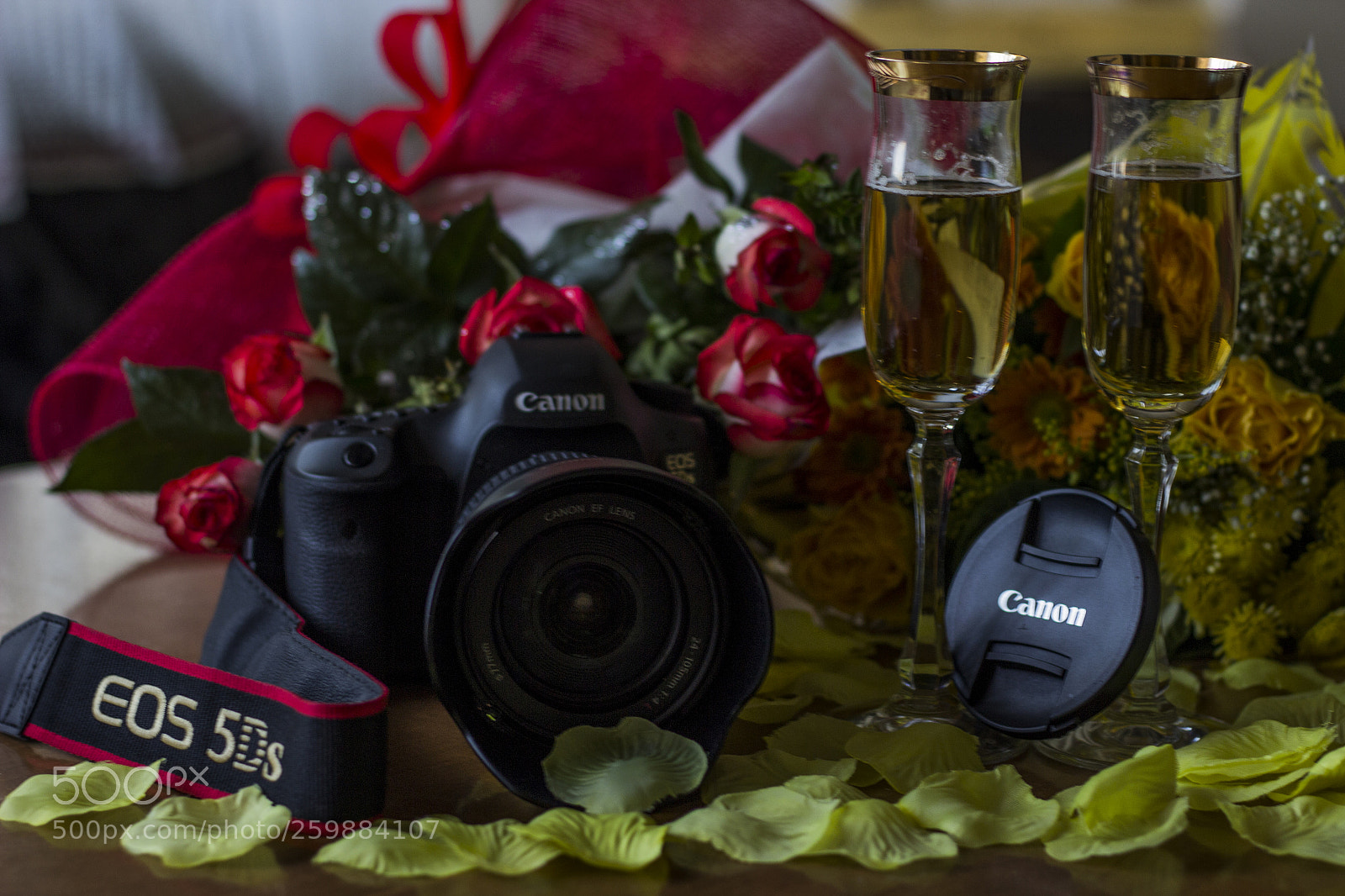 Canon EOS 600D (Rebel EOS T3i / EOS Kiss X5) sample photo. Anniversary photography photography