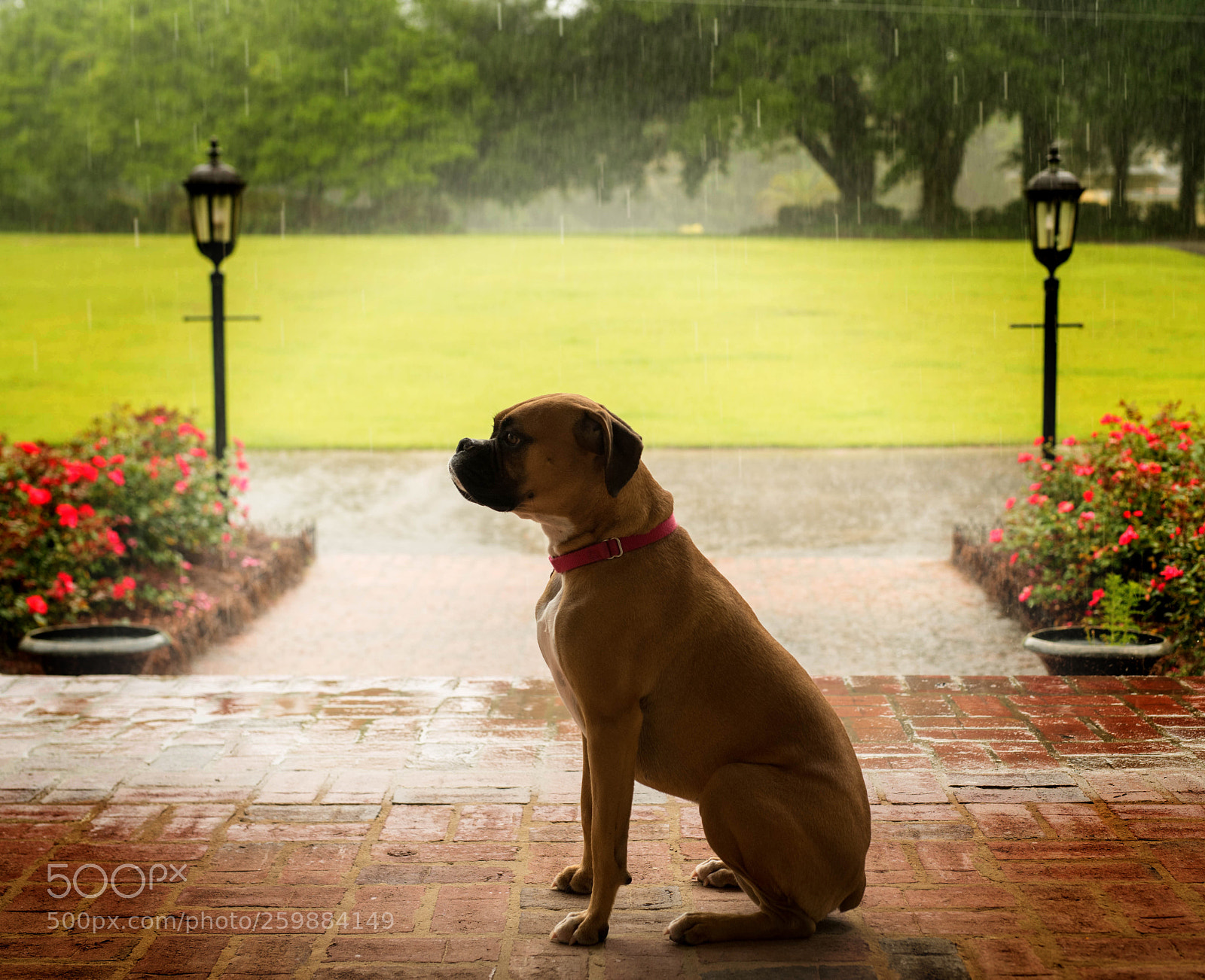 Nikon D810 sample photo. Rainy days and monday photography