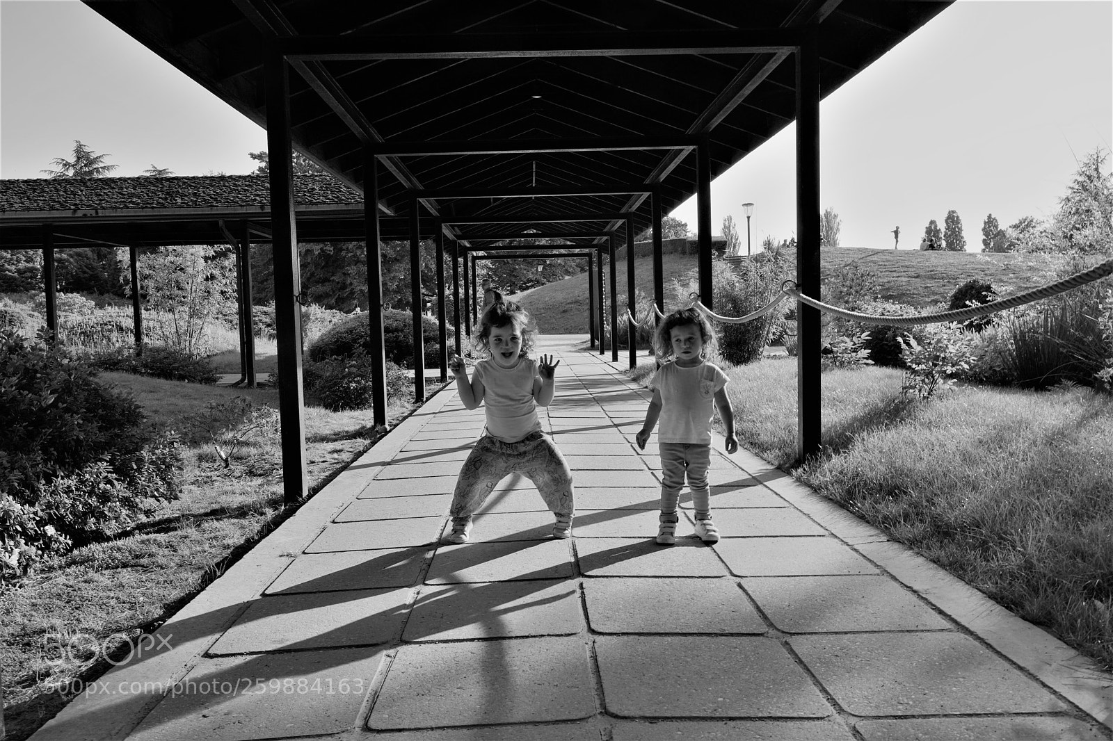 Sony a7 III sample photo. Dsc photography