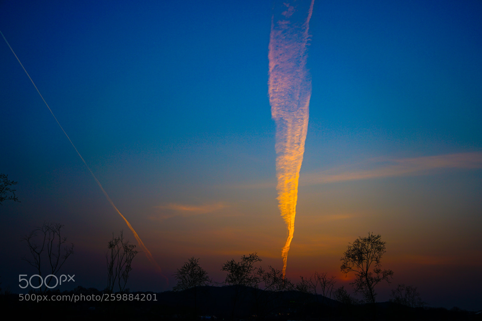 Sony a7 II sample photo. Dsc photography
