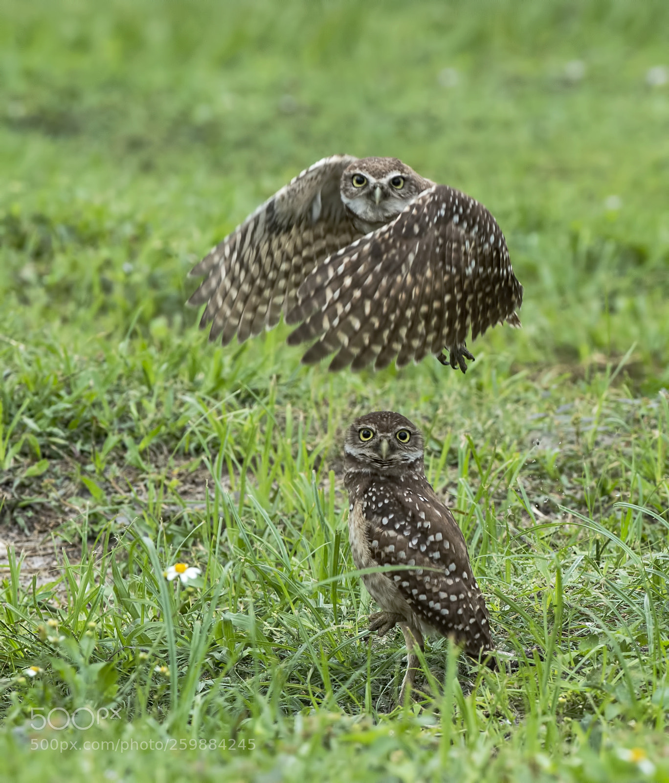 Nikon D4S sample photo. Hey what's up !!!!!!!! photography